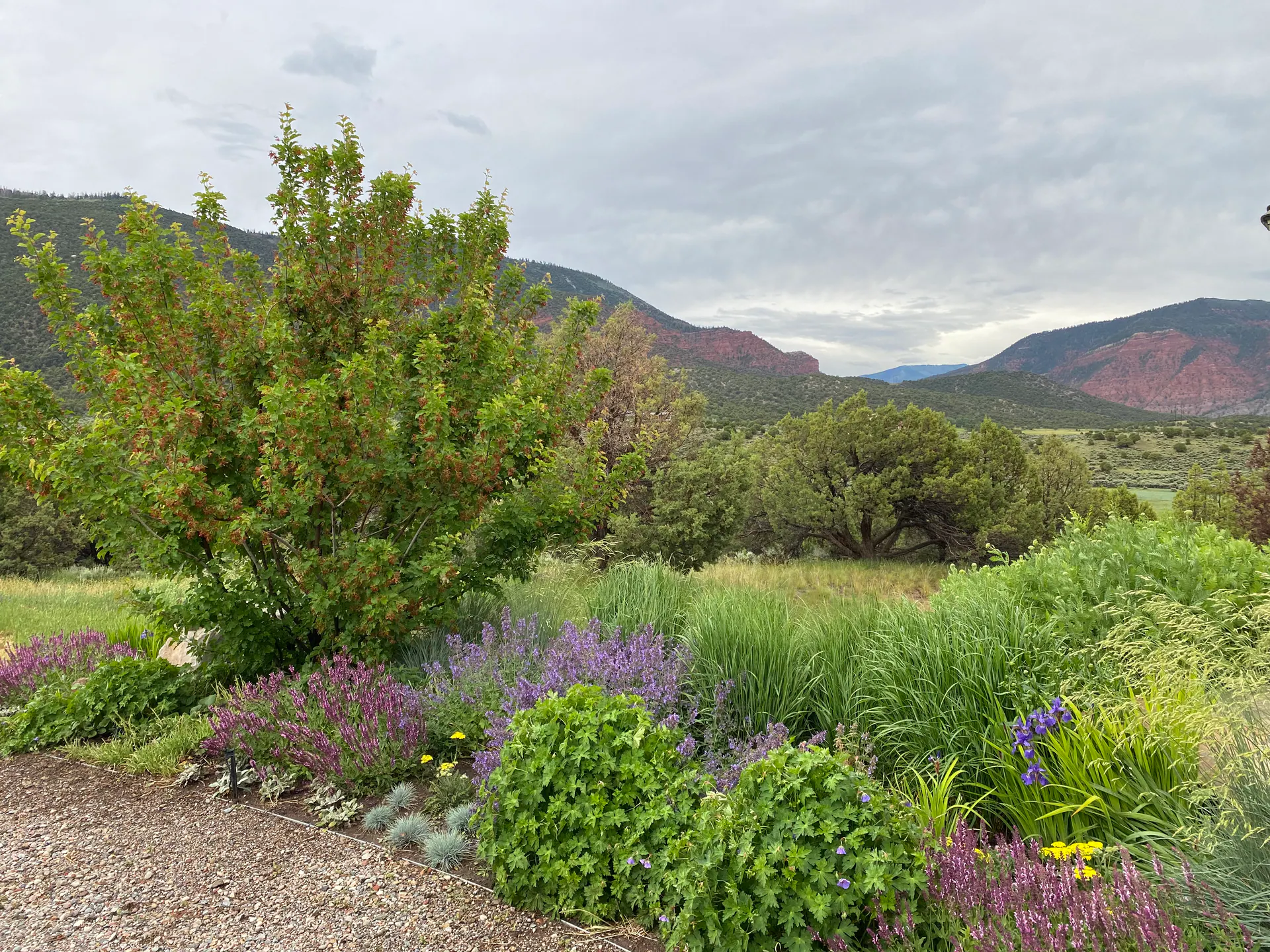 Mountain landscape with designed planting and outdoor living, integrated with the land