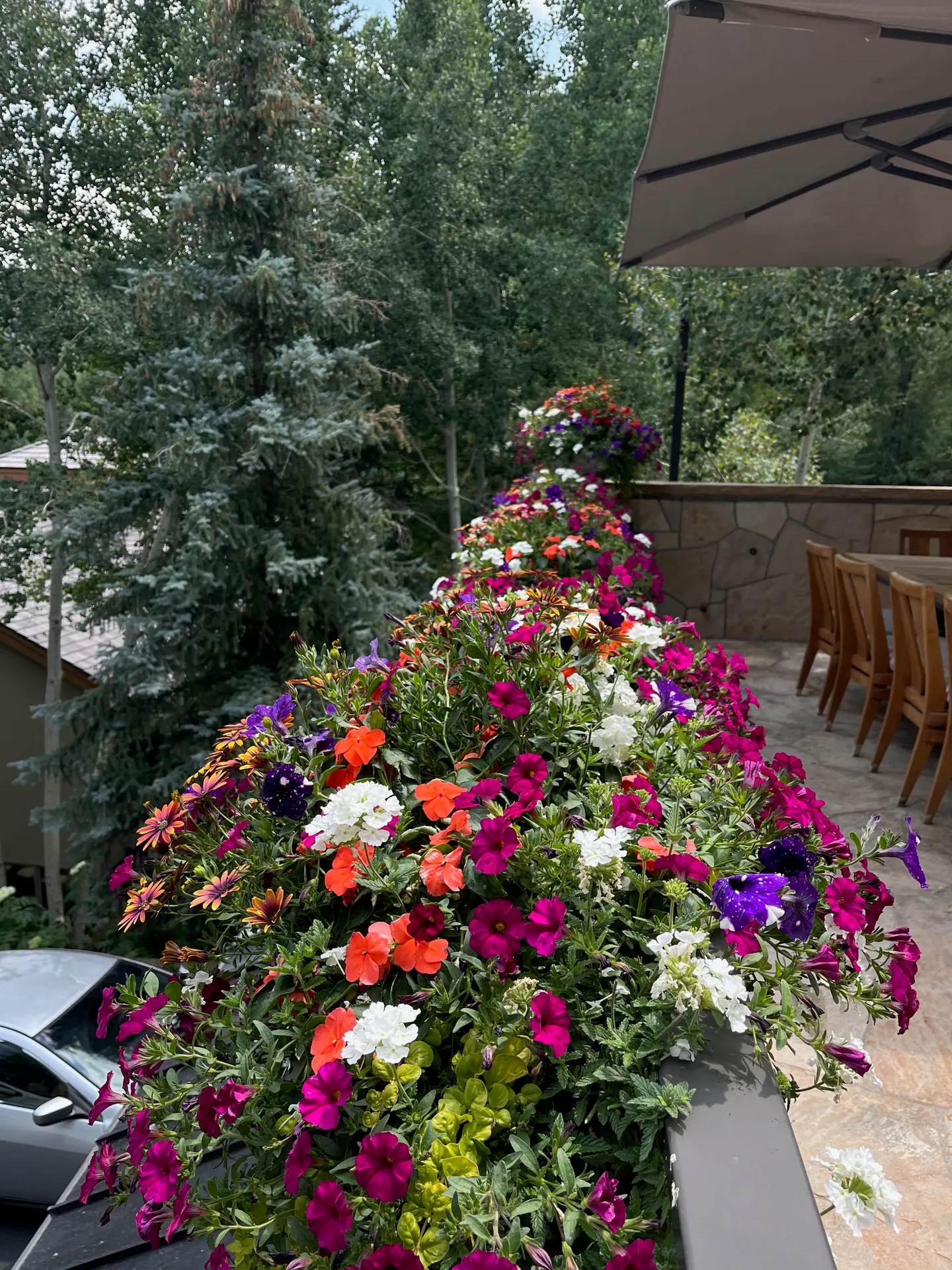 Annual Containers landscape element, image 14 of 22