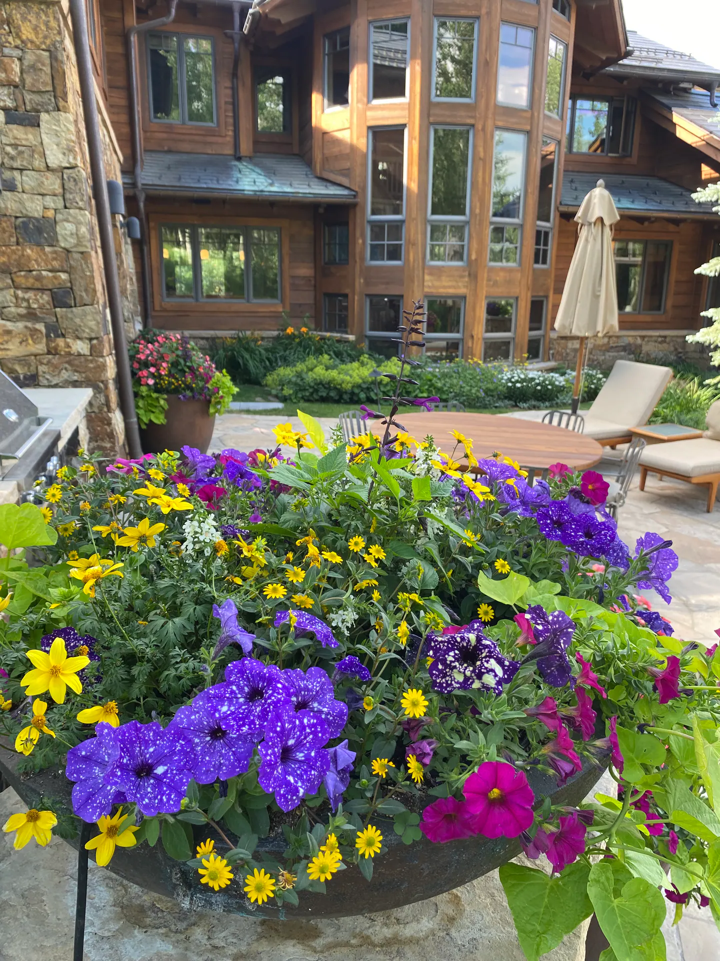 Annual Containers landscape element, image 20 of 22