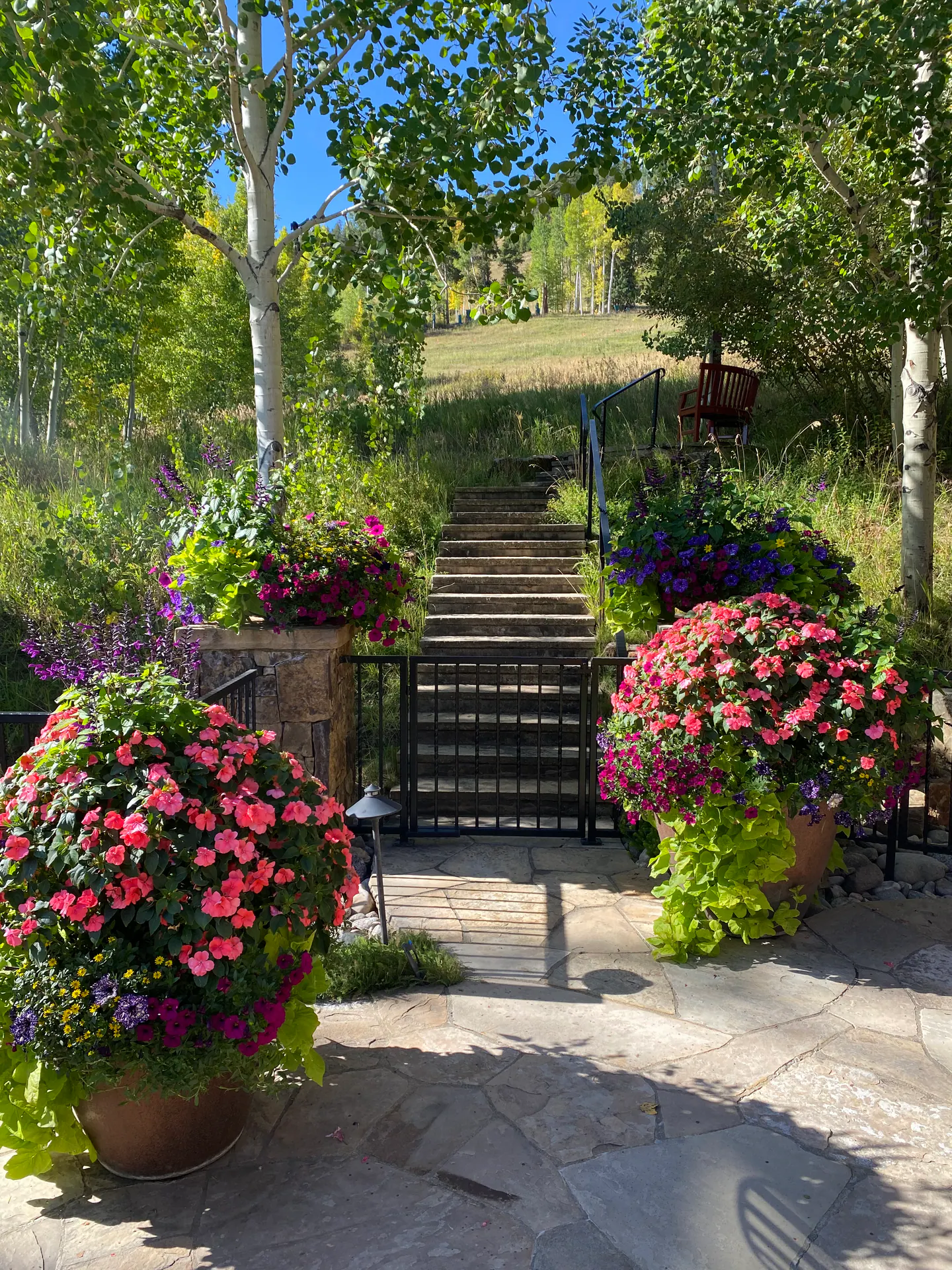 Annual Containers landscape element, image 9 of 22