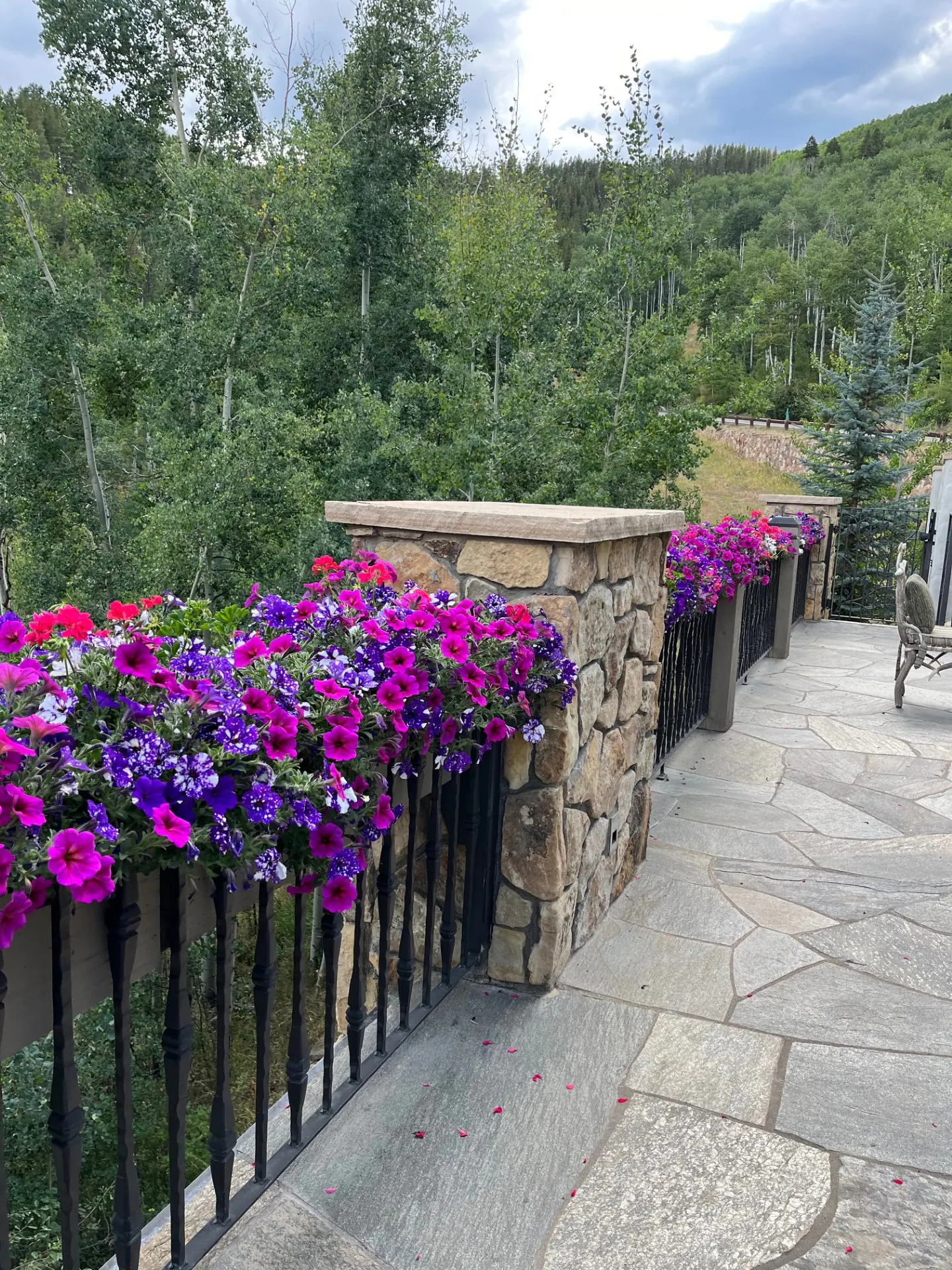 Annual Containers landscape element, image 10 of 22