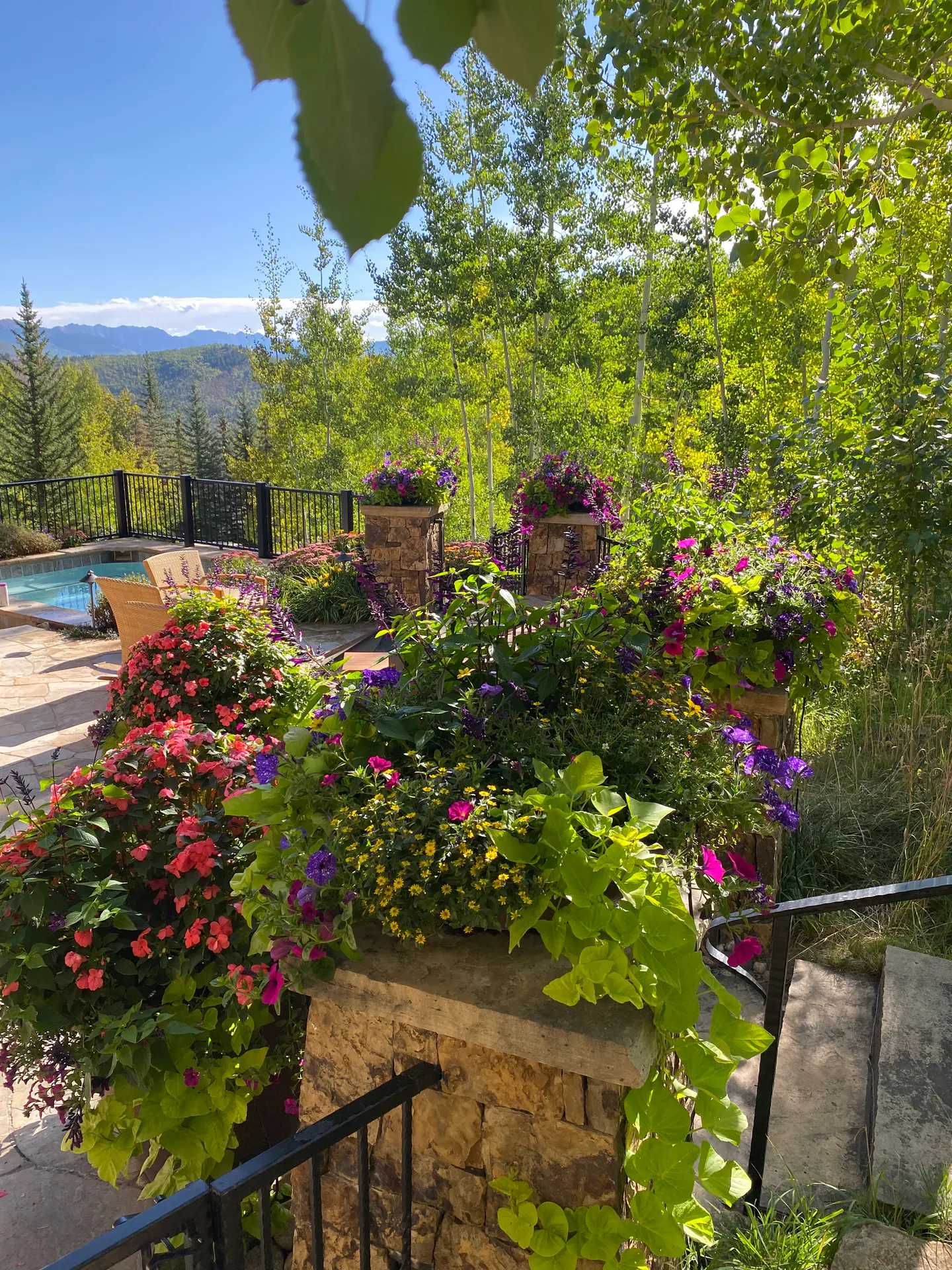 Annual Containers landscape element, image 12 of 22