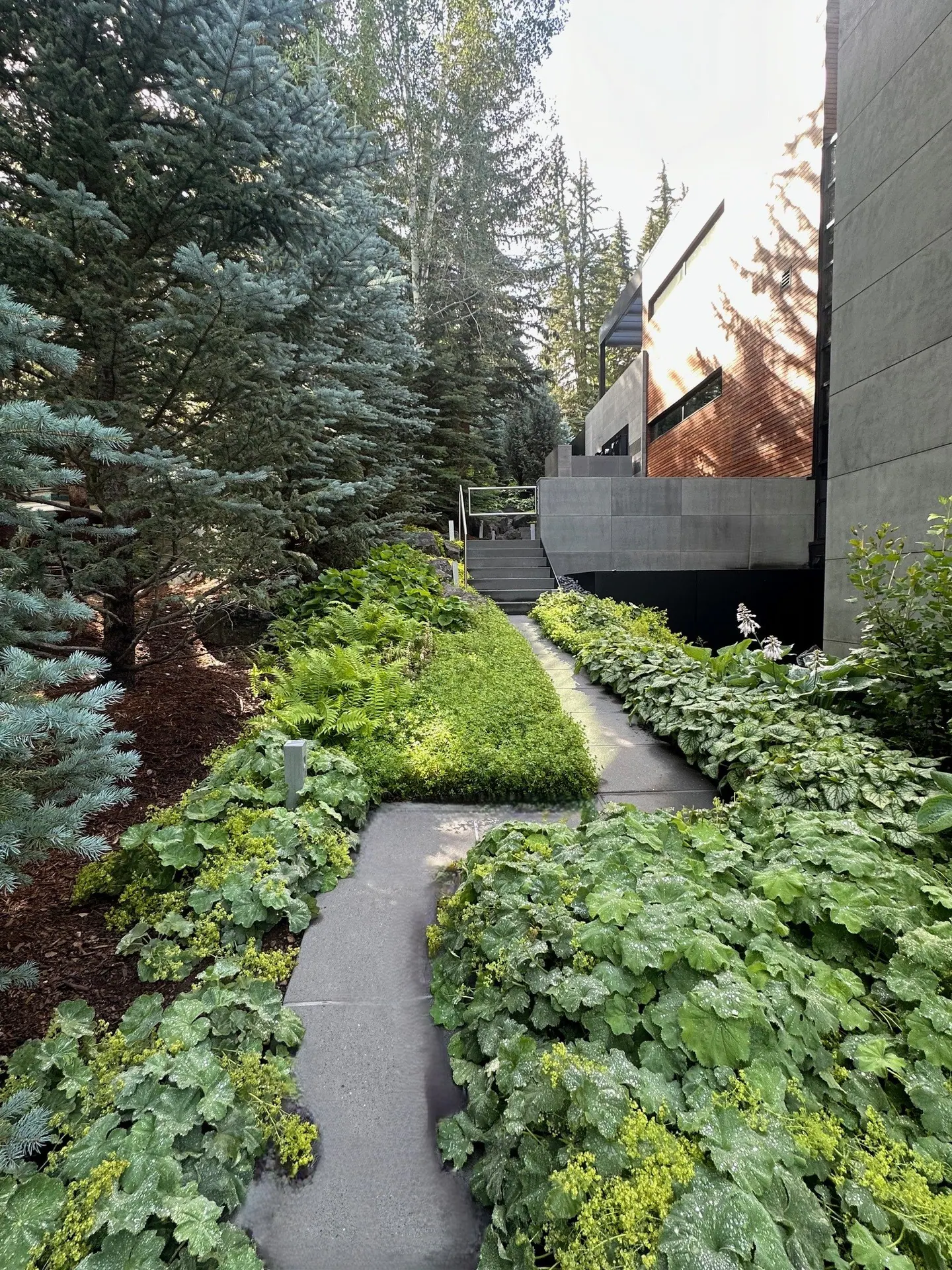 Gardens landscape element, image 15 of 69
