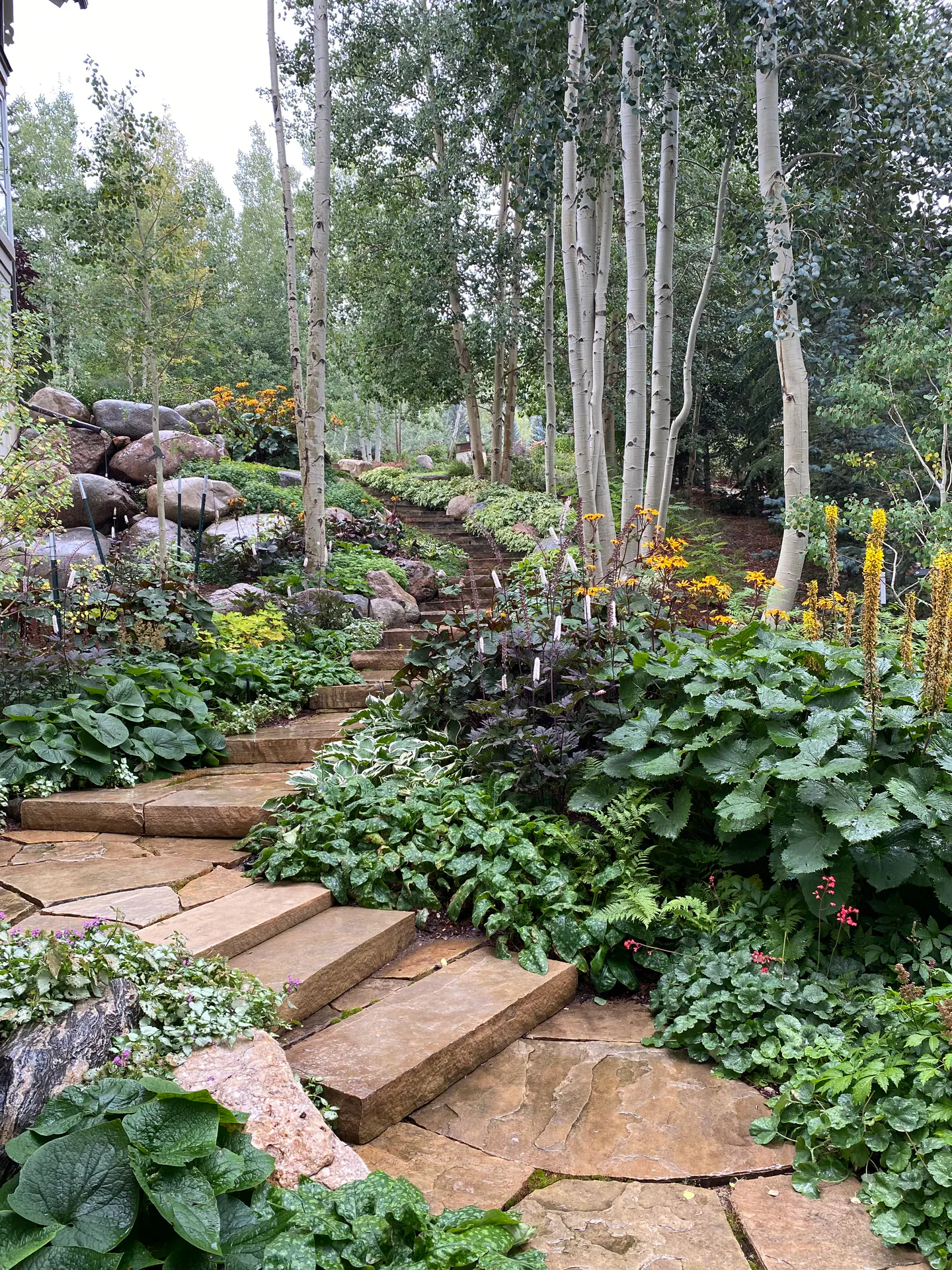 Gardens landscape element, image 21 of 69