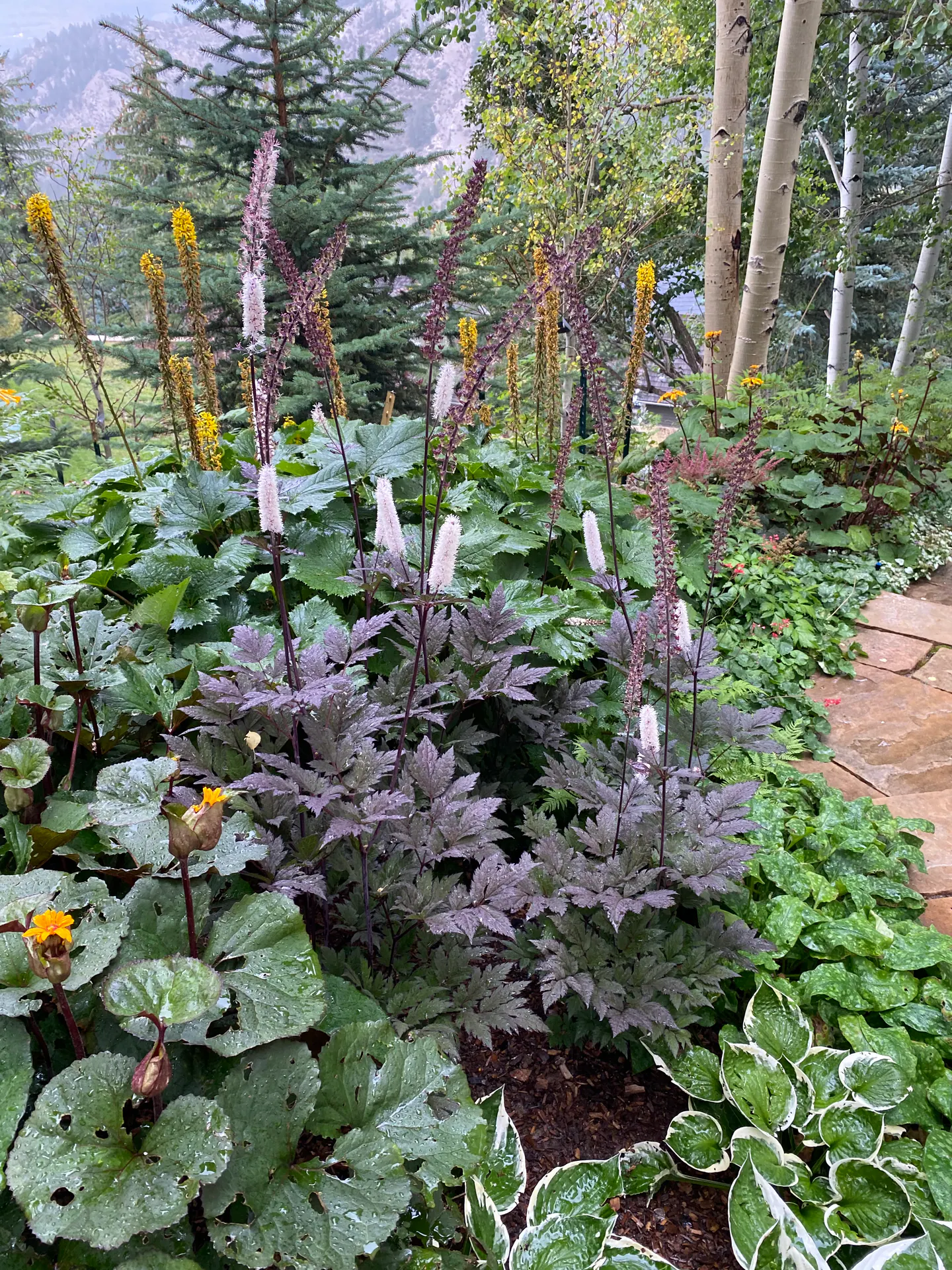 Gardens landscape element, image 22 of 69