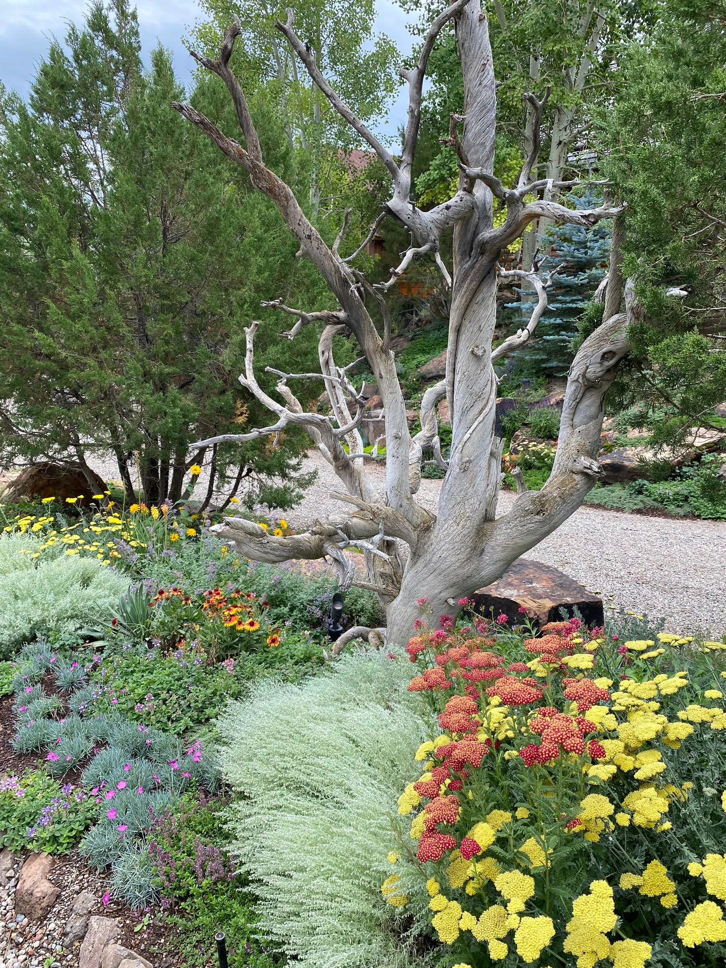 Gardens landscape element, image 51 of 69