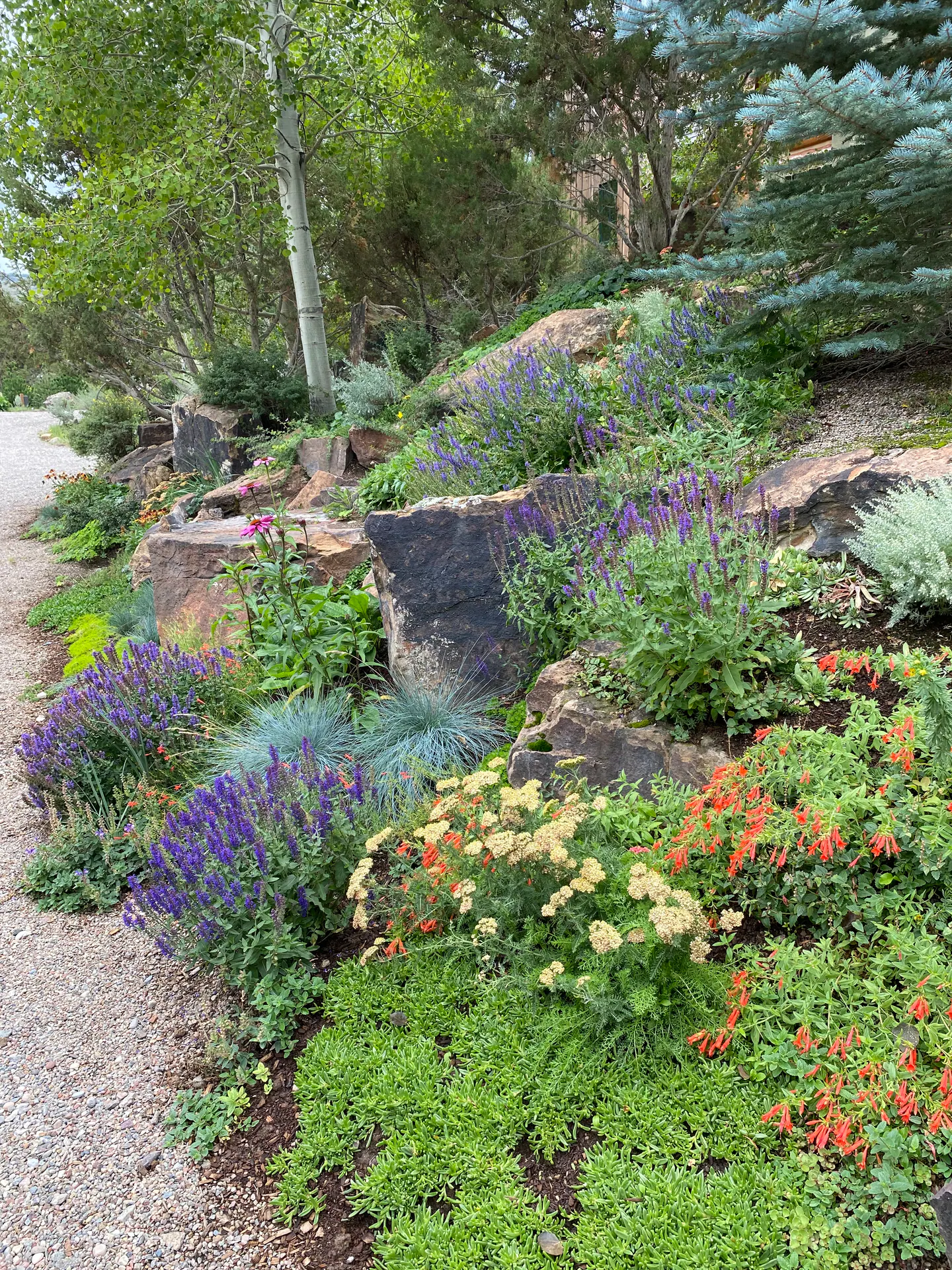 Gardens landscape element, image 52 of 69