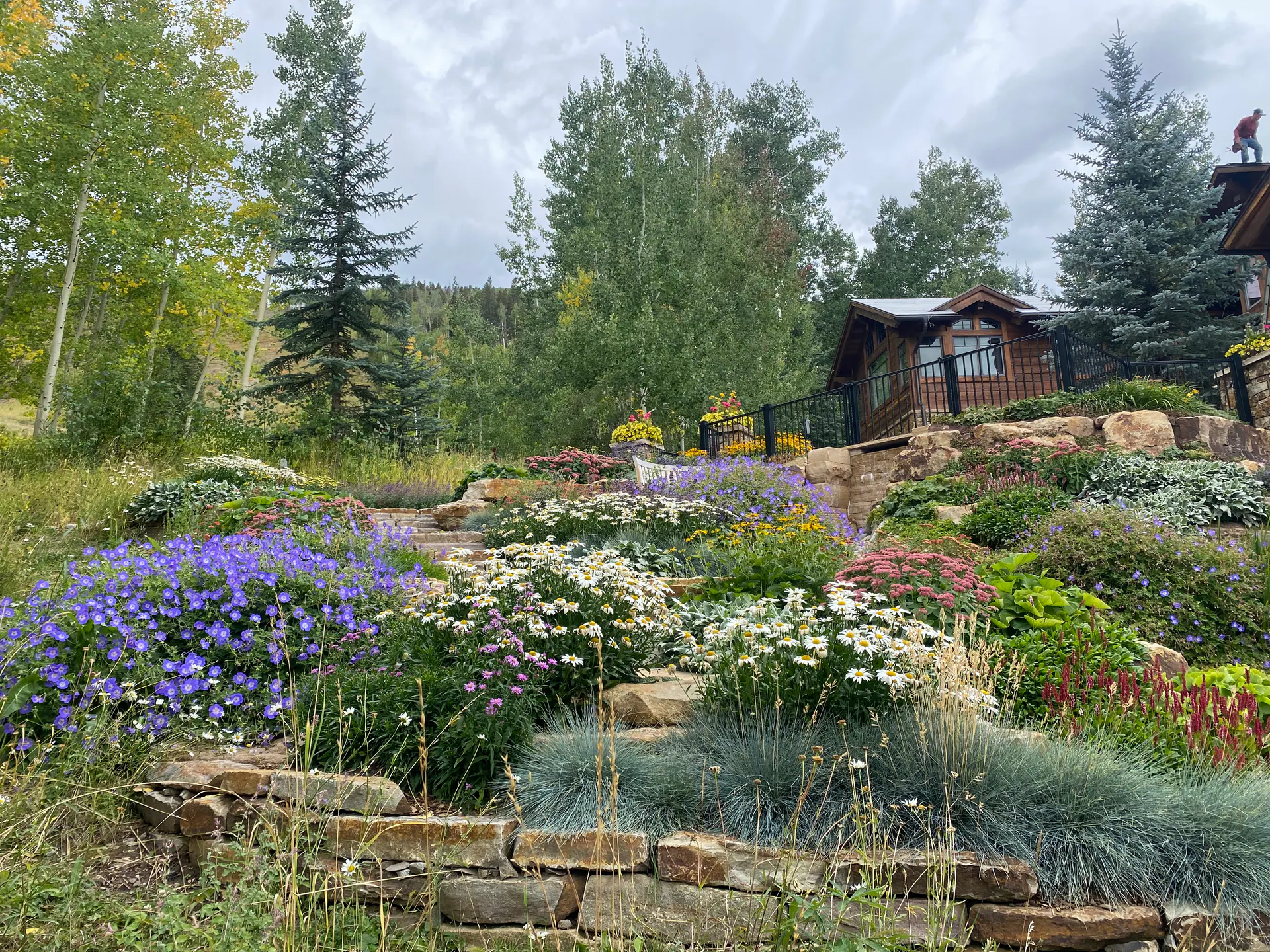 Gardens landscape element, image 56 of 69