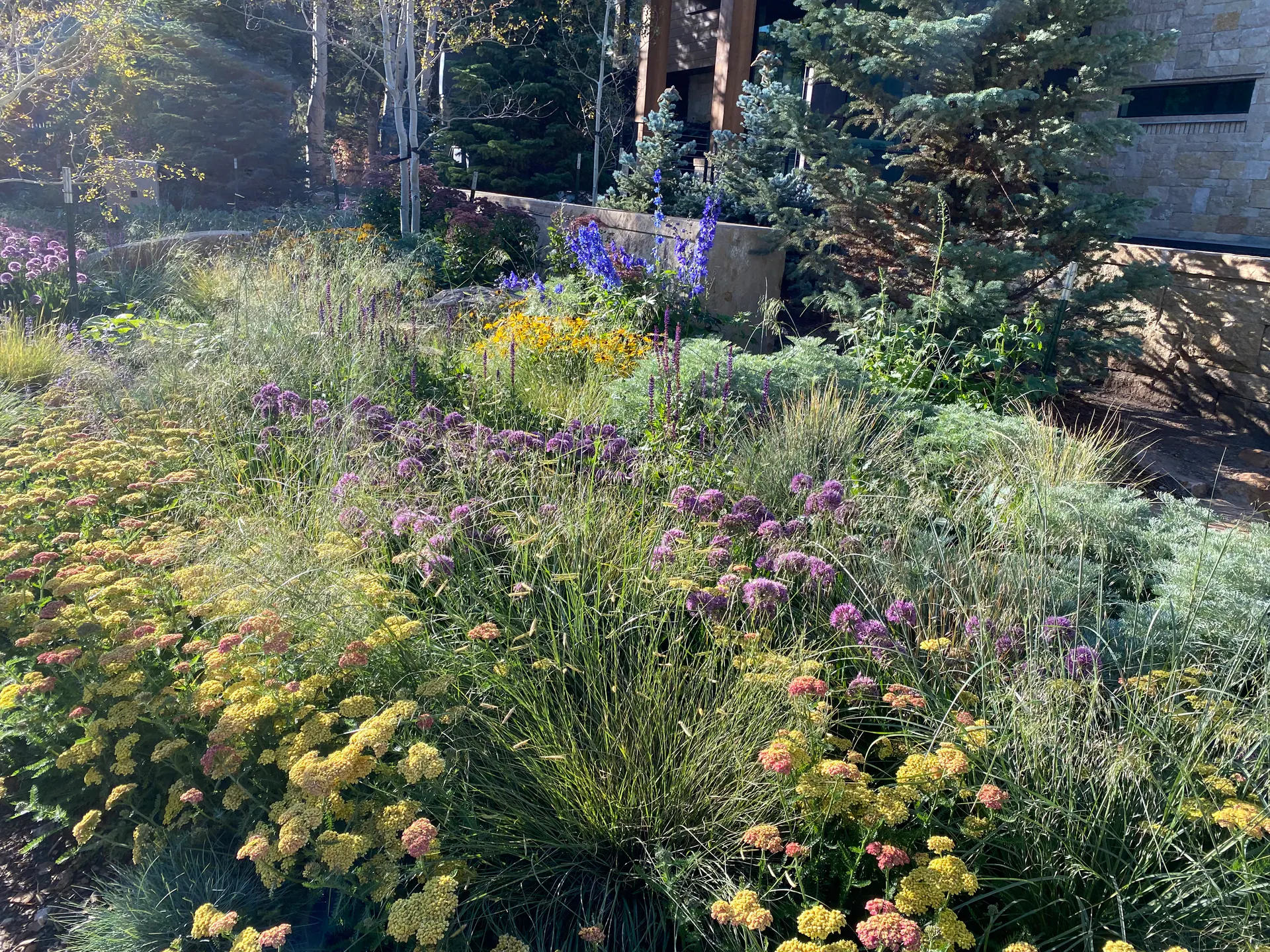 Gardens landscape element, image 57 of 69