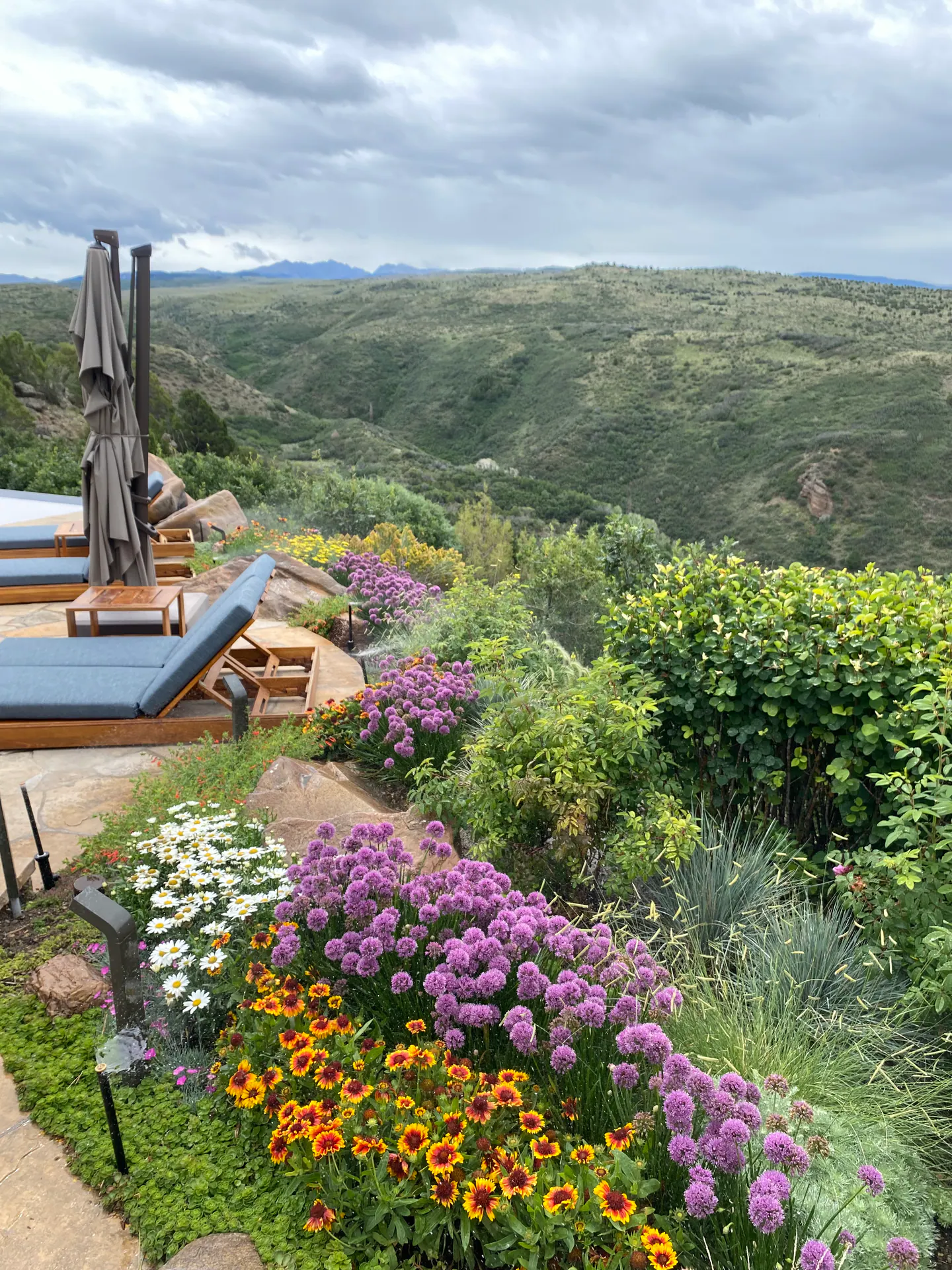 Gardens landscape element, image 10 of 69