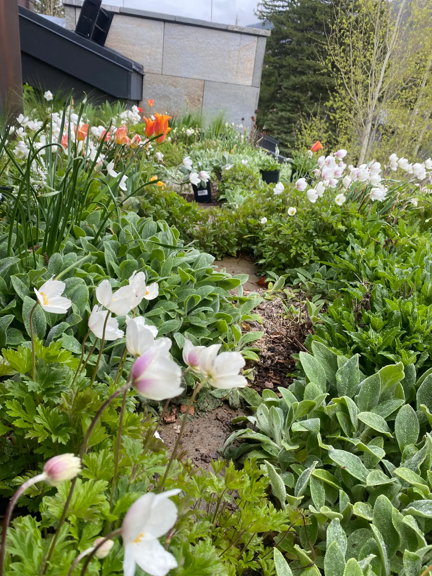 Gardens landscape element, image 28 of 69