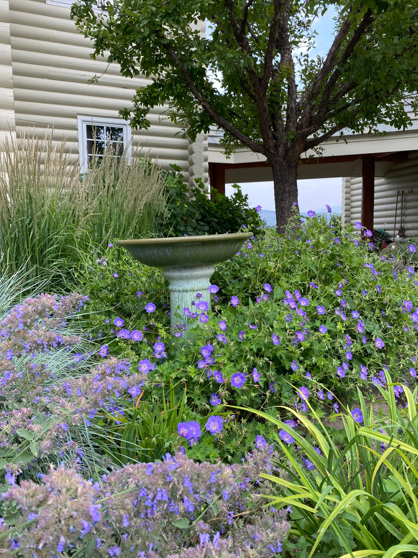 Gardens landscape element, image 29 of 69