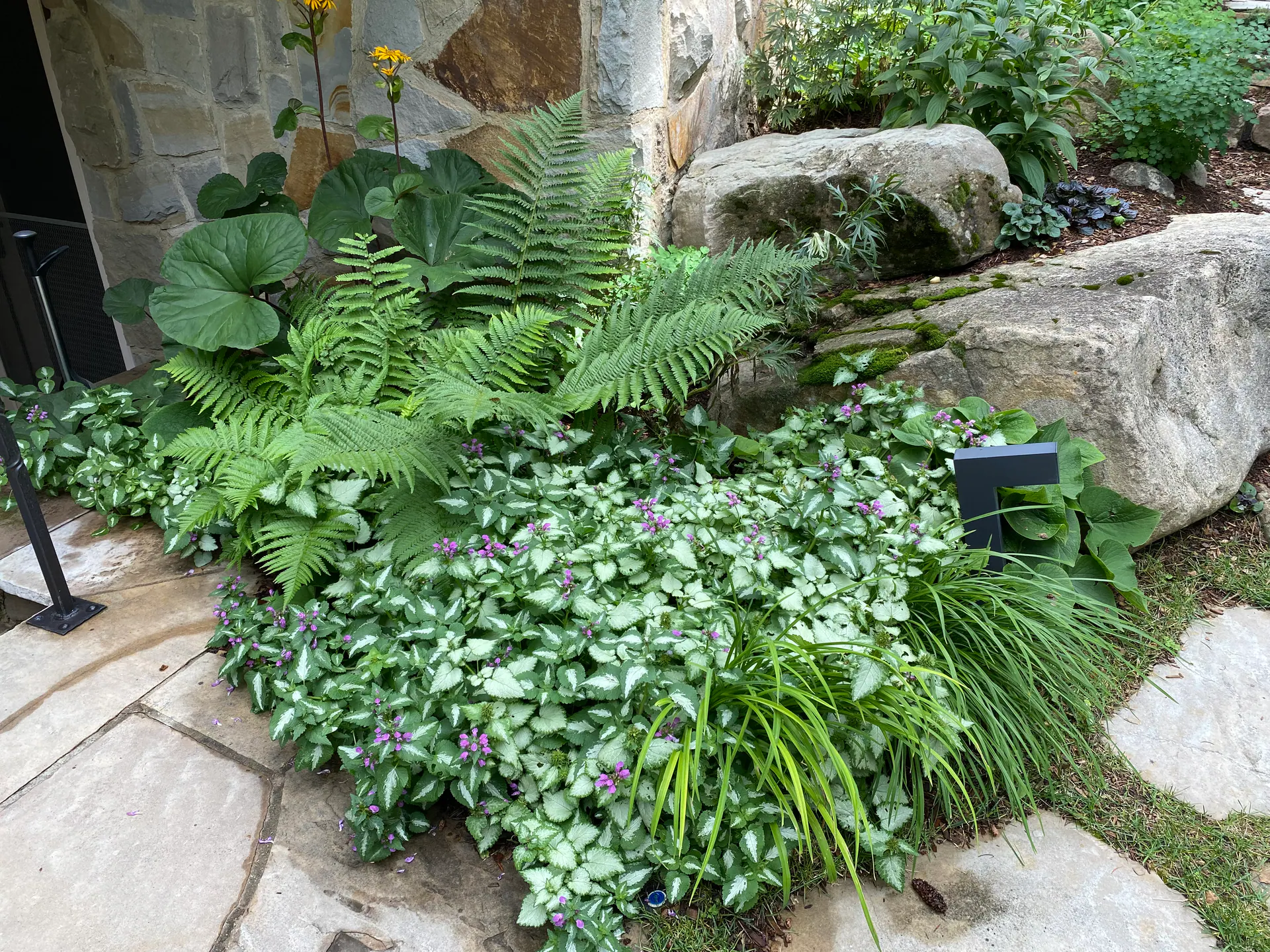 Gardens landscape element, image 34 of 69