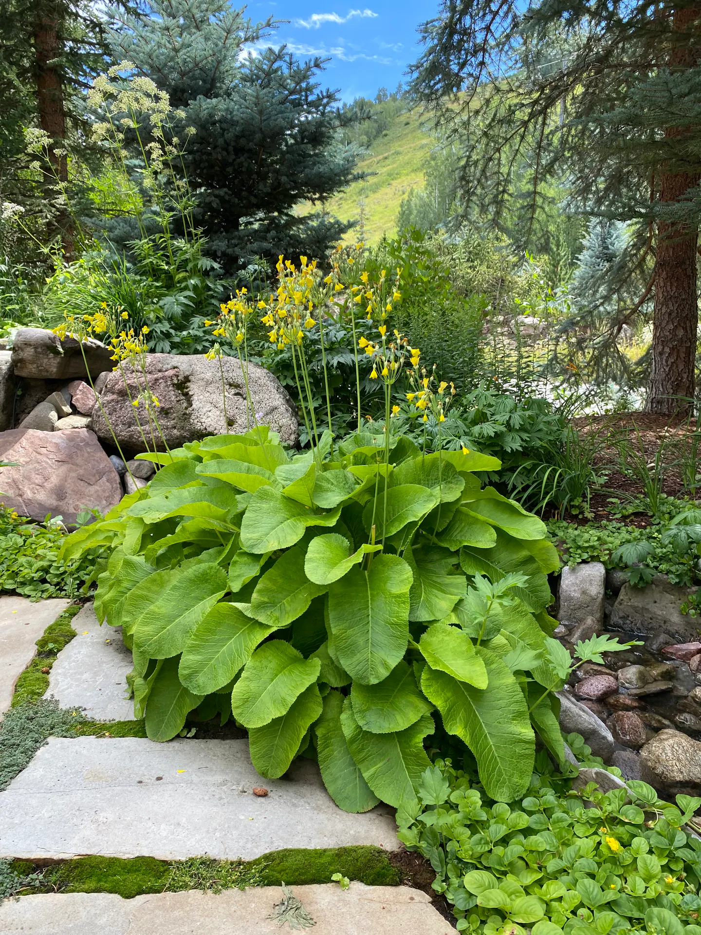 Gardens landscape element, image 36 of 69