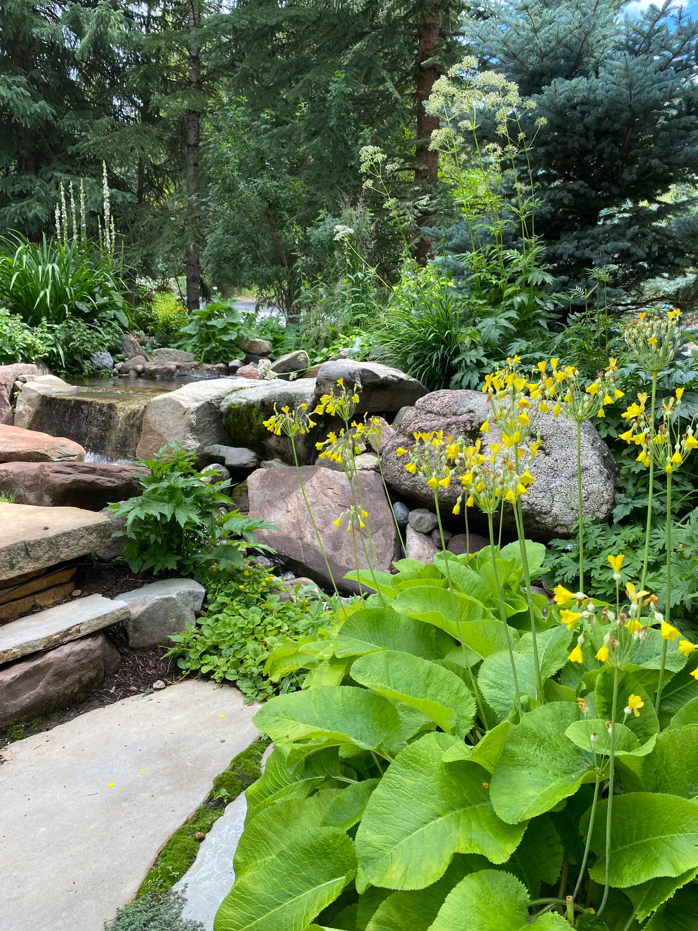 Gardens landscape element, image 37 of 69