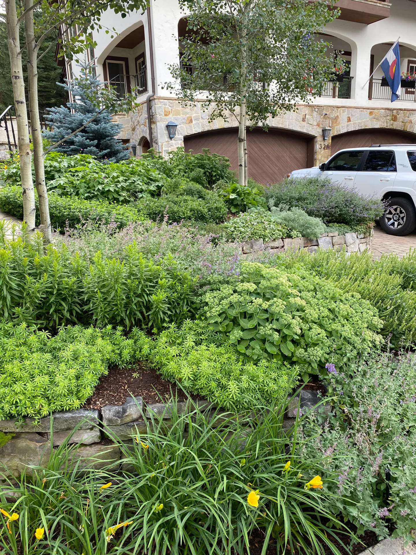 Gardens landscape element, image 39 of 69