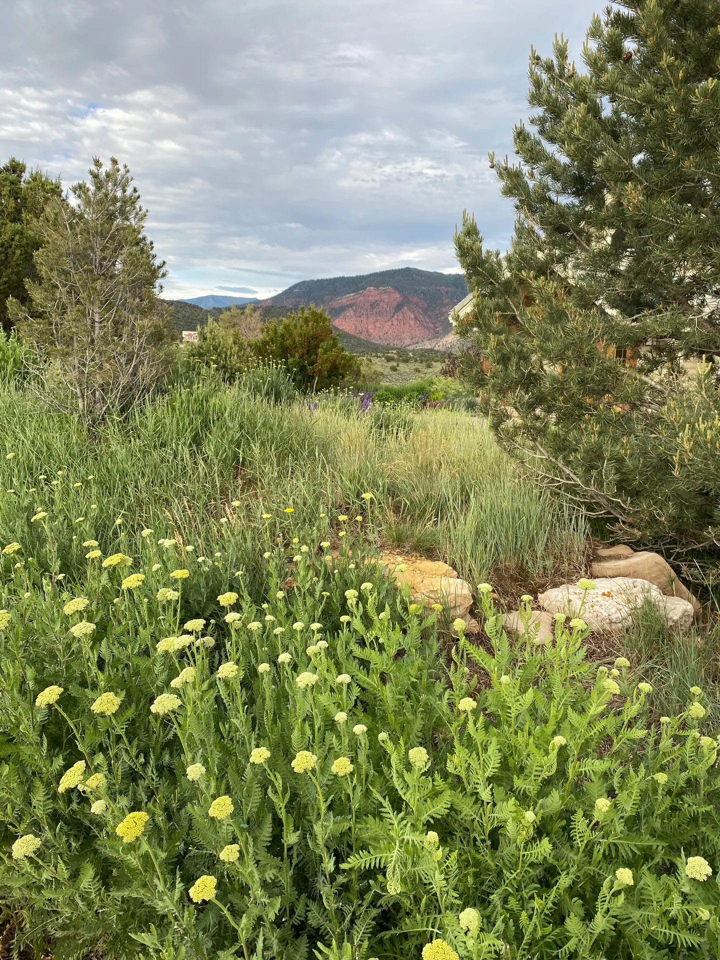 Natural Landscape landscape element, image 33 of 38