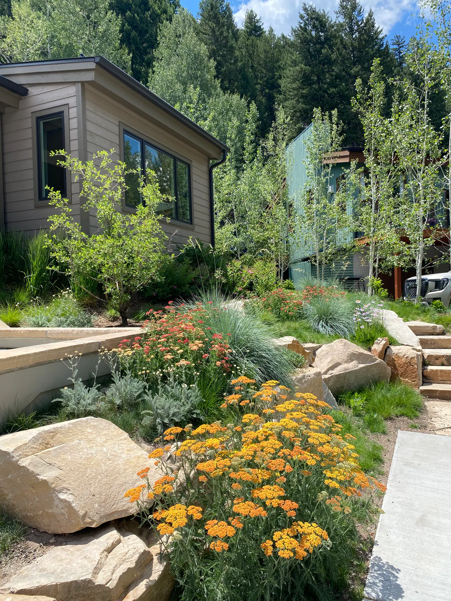 Natural Landscape landscape element, image 7 of 38