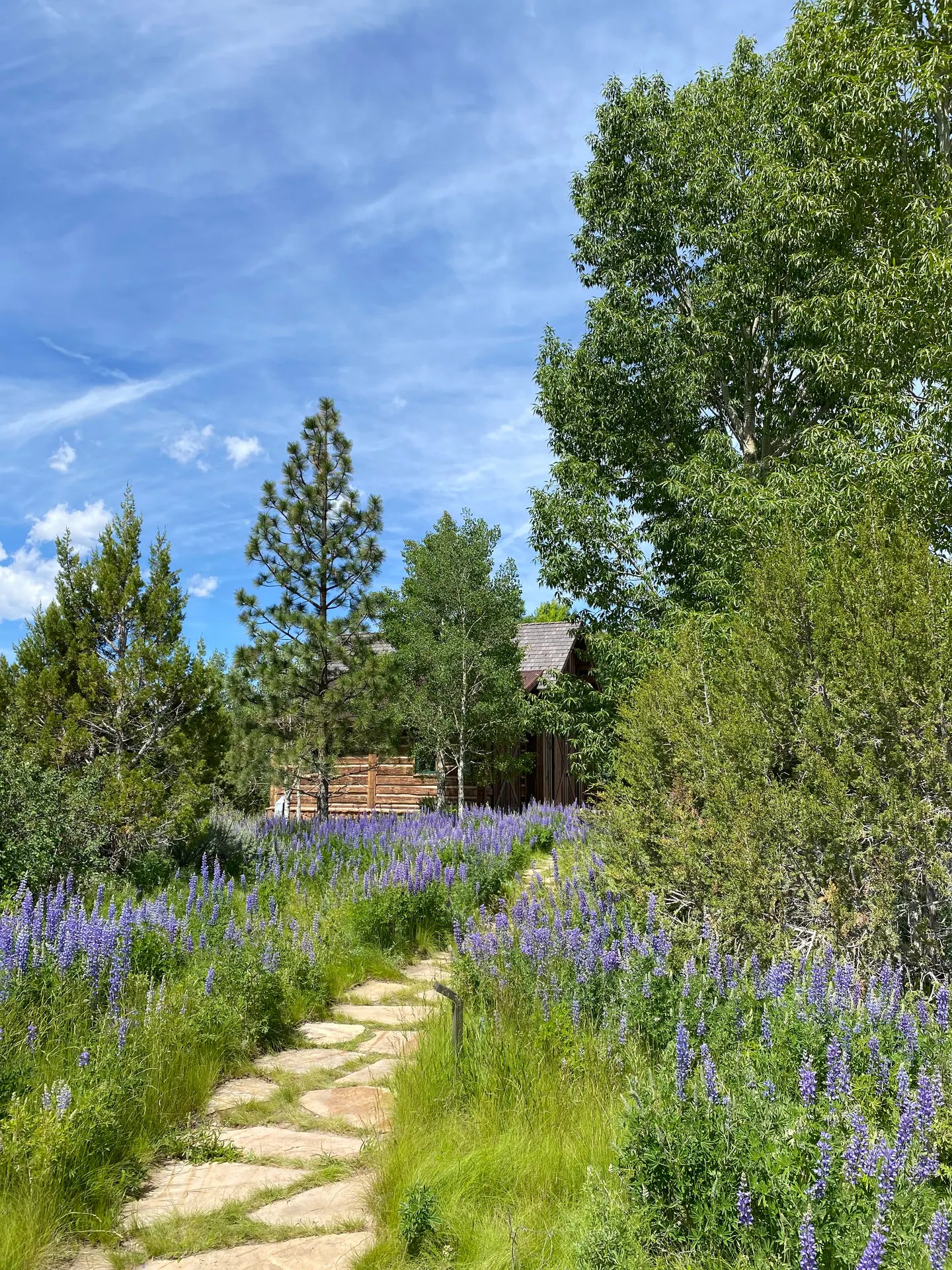 Natural Landscape landscape element, image 9 of 38