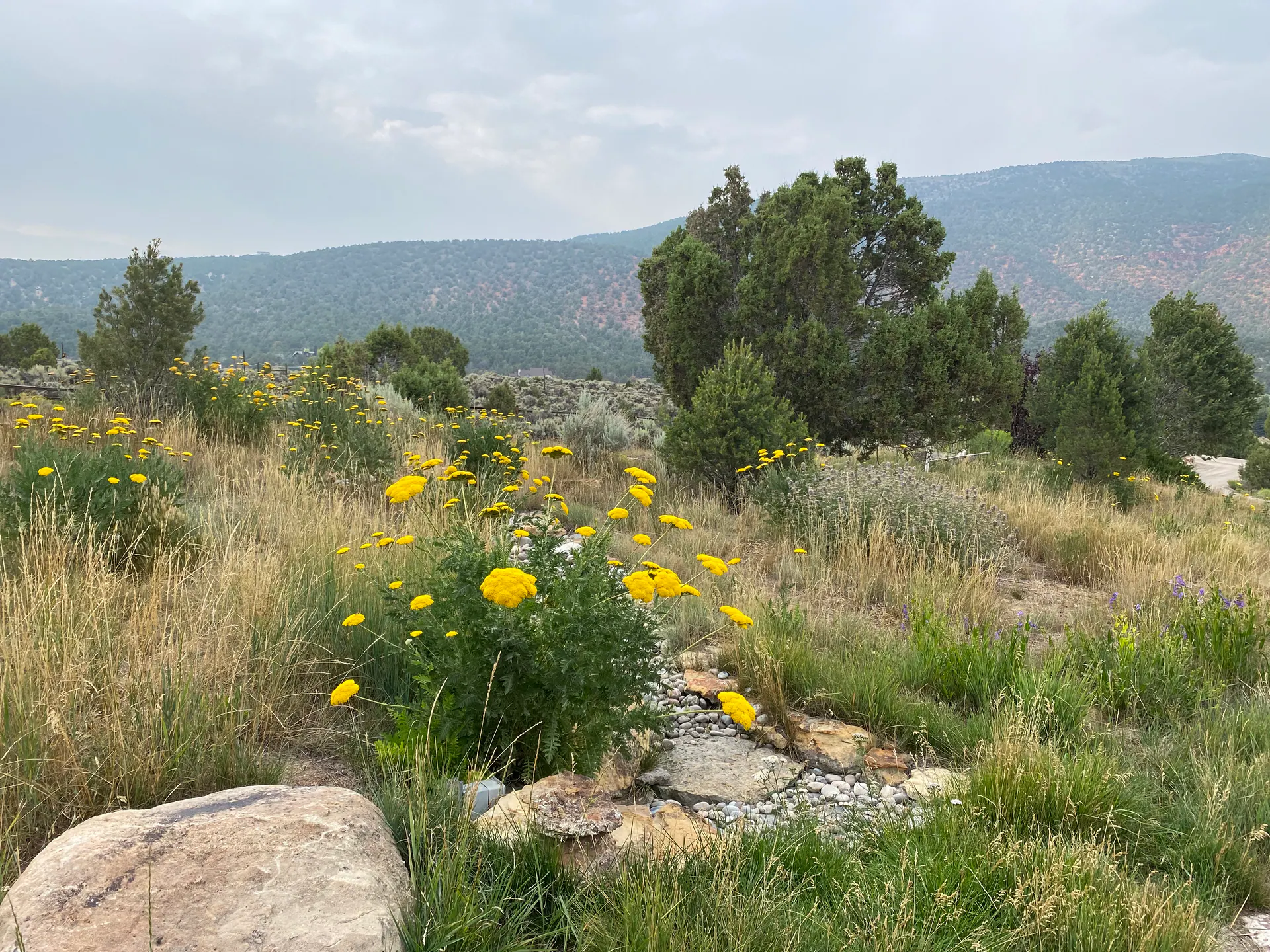 Natural Landscape landscape element, image 22 of 38