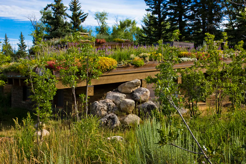 Natural Landscape landscape element, image 24 of 38
