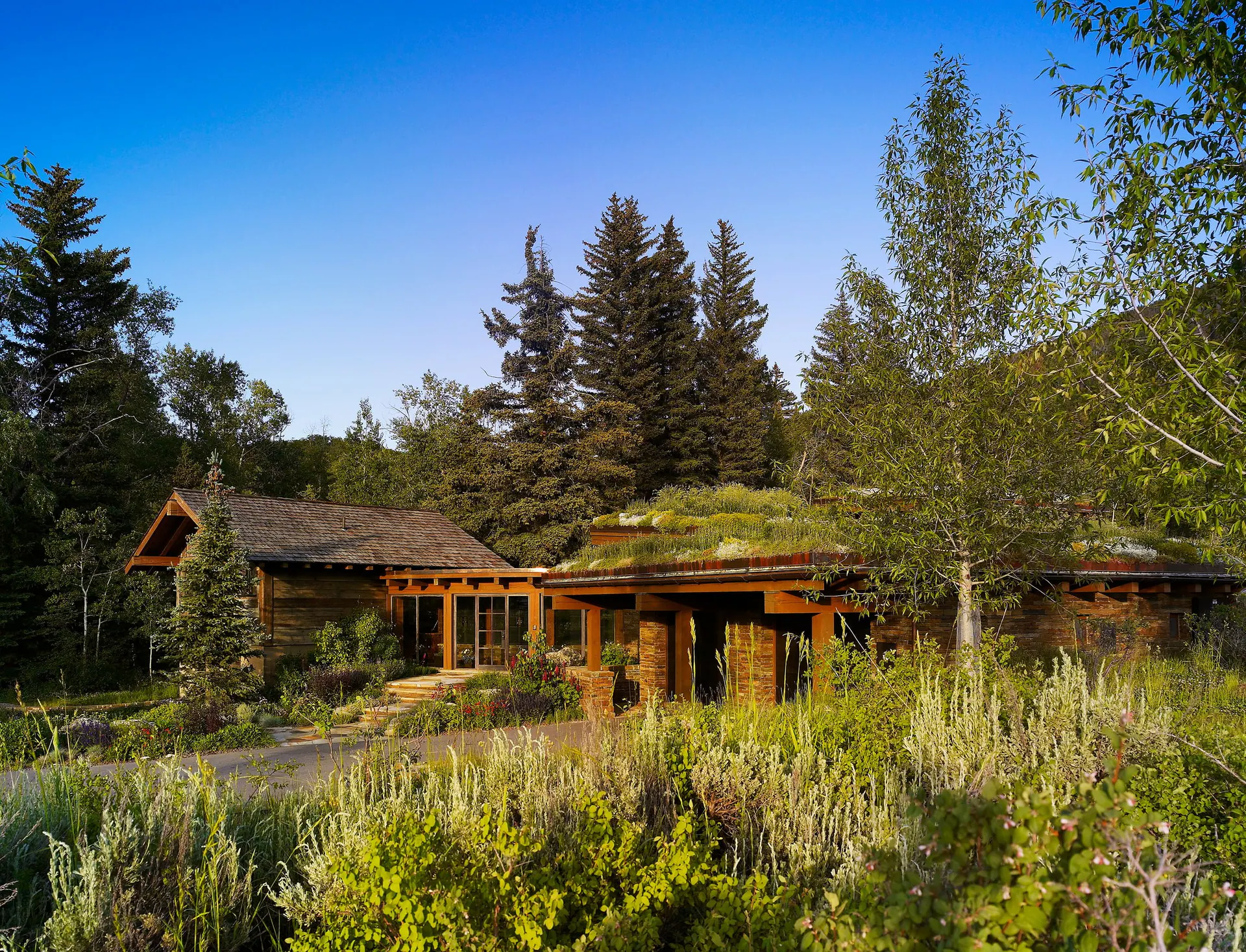 Supplemental Watering Strategies During Extreme Drought — Ceres Landcare blog