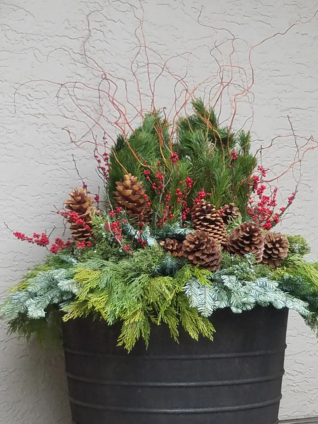 Holiday Décor by Ceres Landcare, image 8 of 24