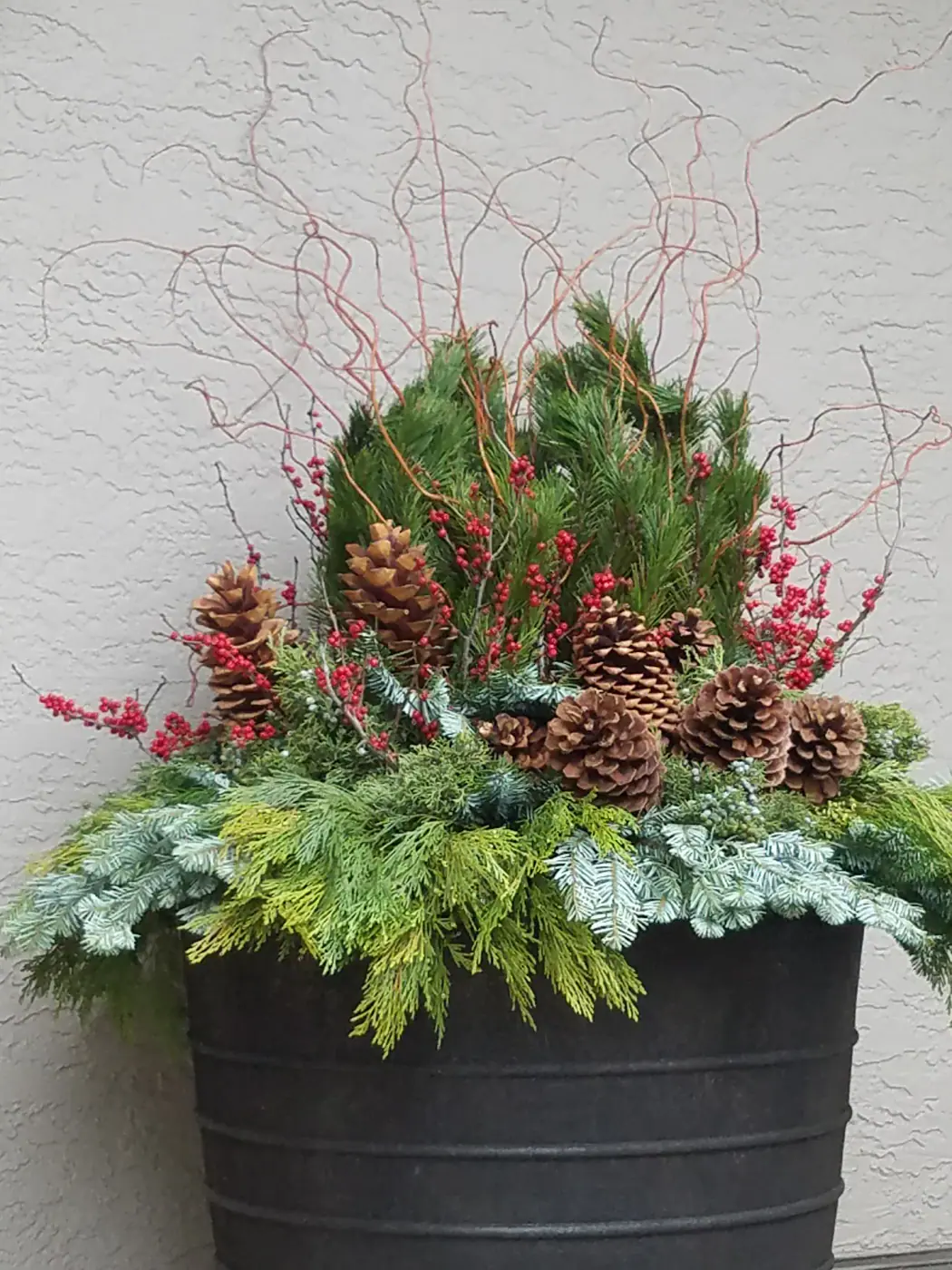 Holiday Décor by Ceres Landcare, image 9 of 24