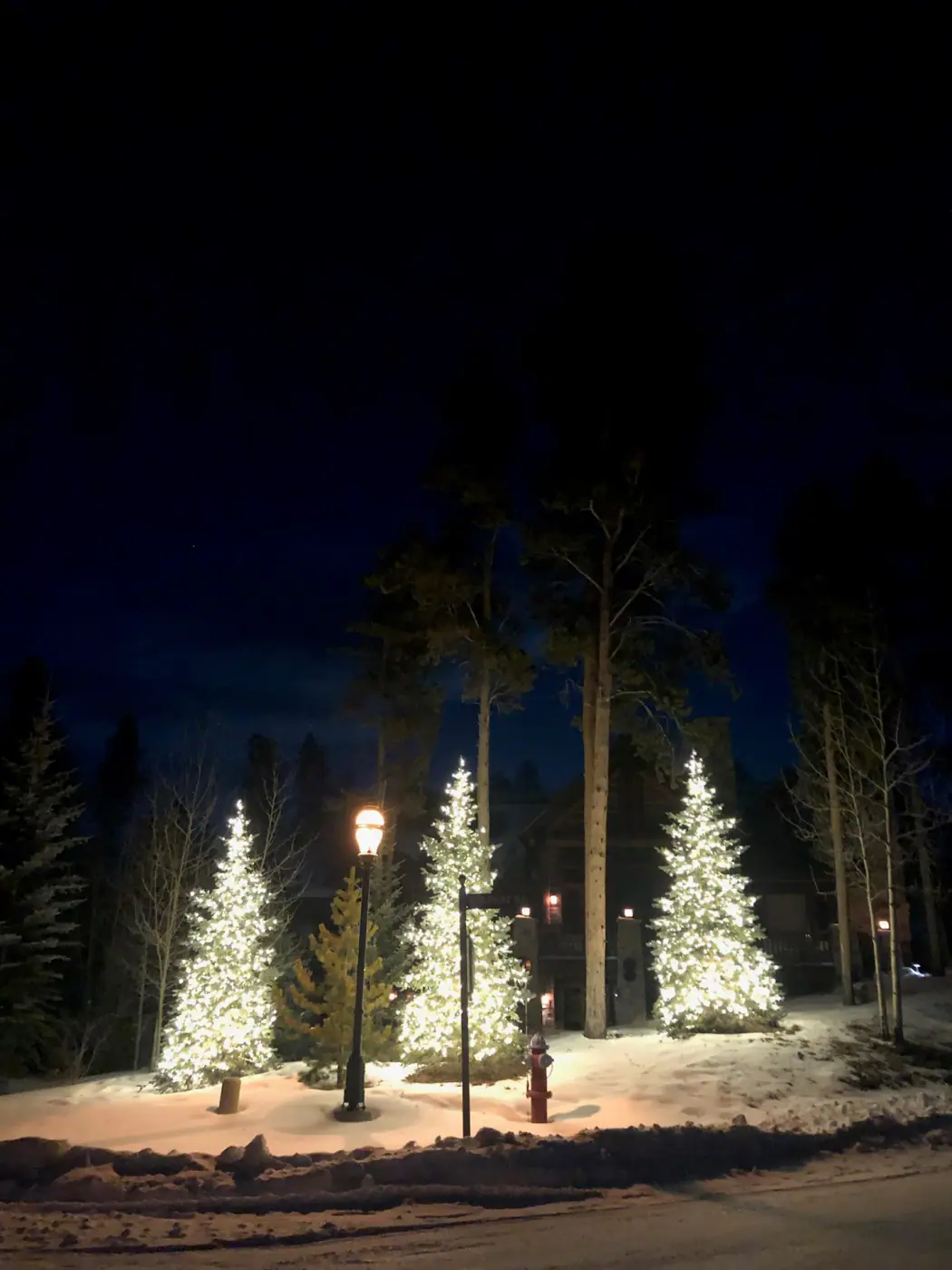 Holiday Décor by Ceres Landcare, image 20 of 24