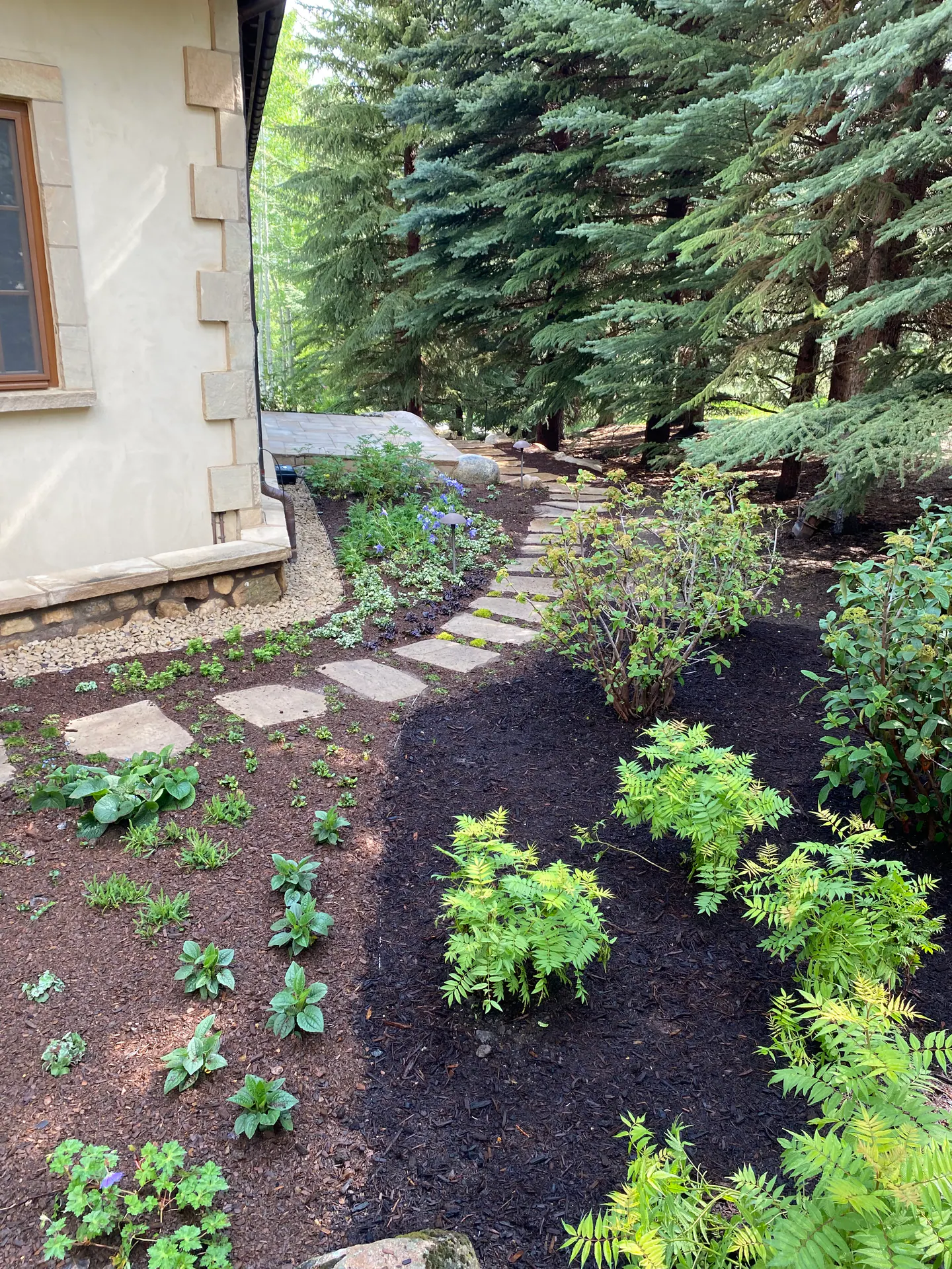 In process — image 5 of 6