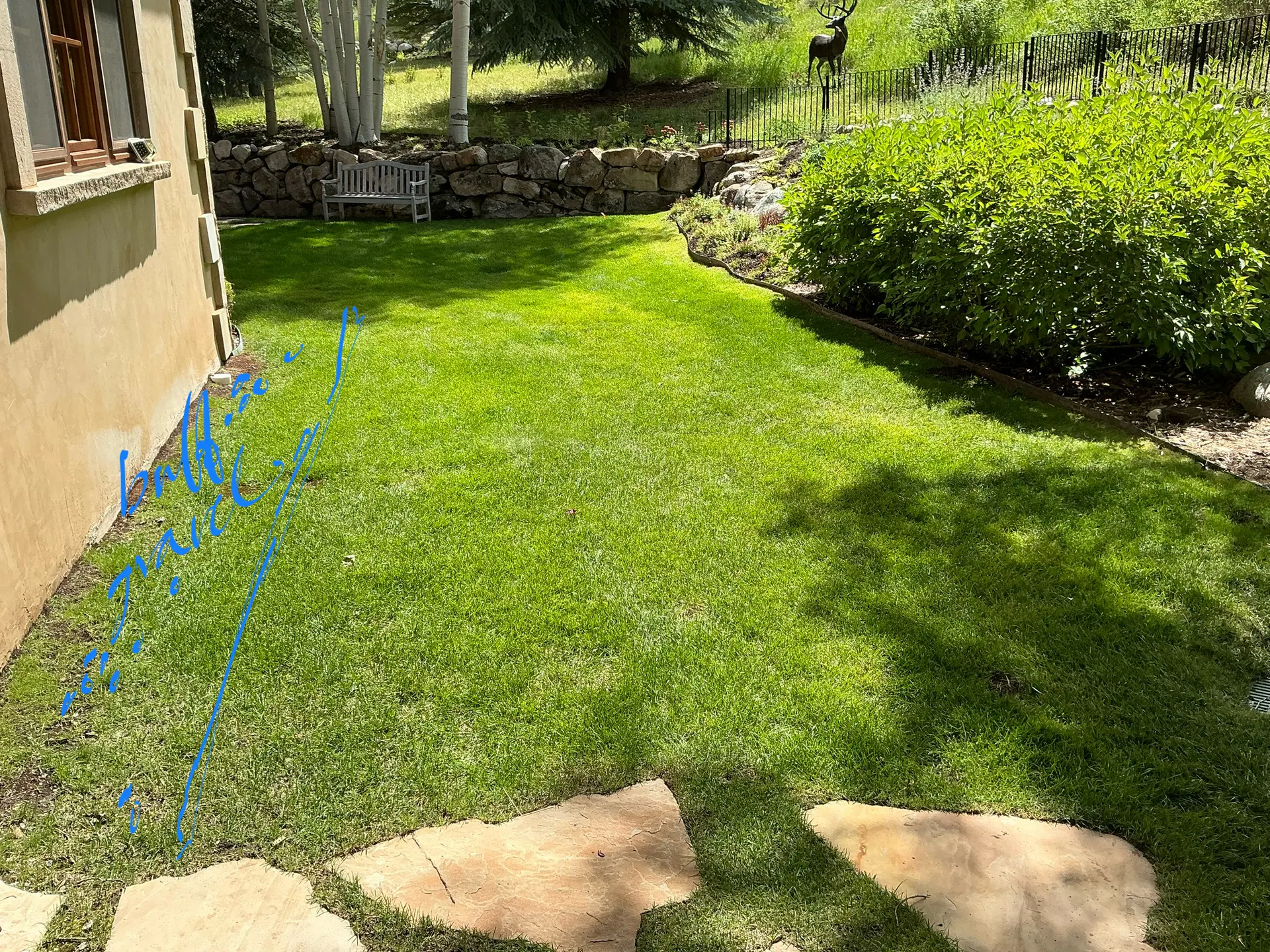 Before — image 1 of 8