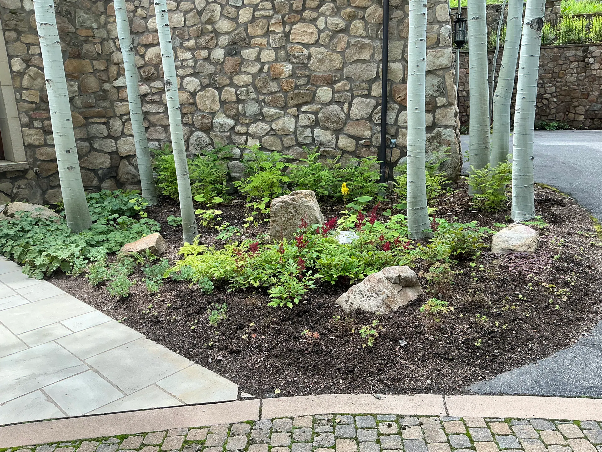 Before — image 5 of 8