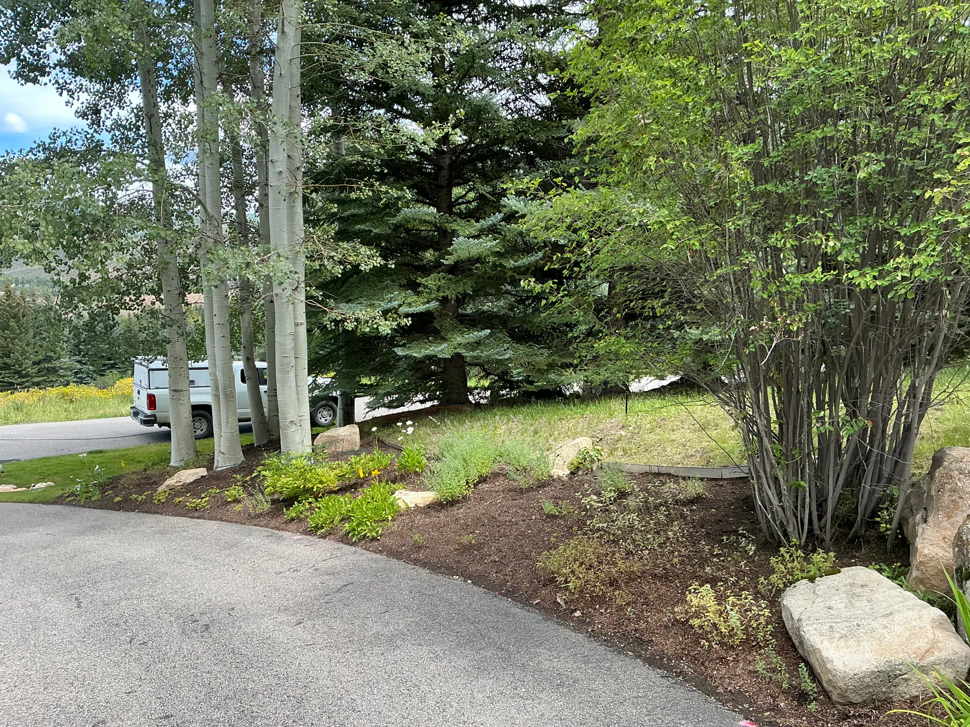 Before — image 6 of 8