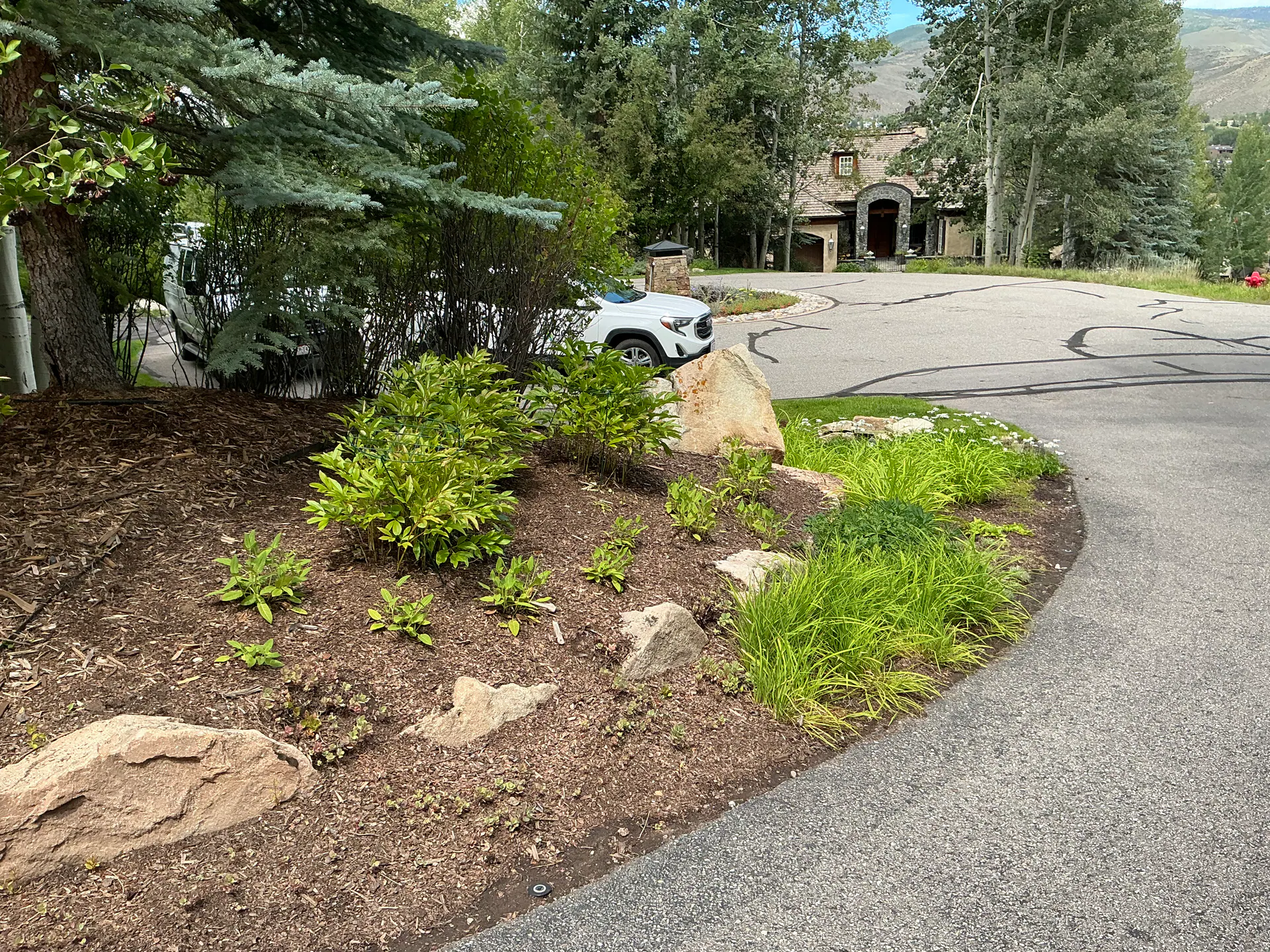 Before — image 7 of 8