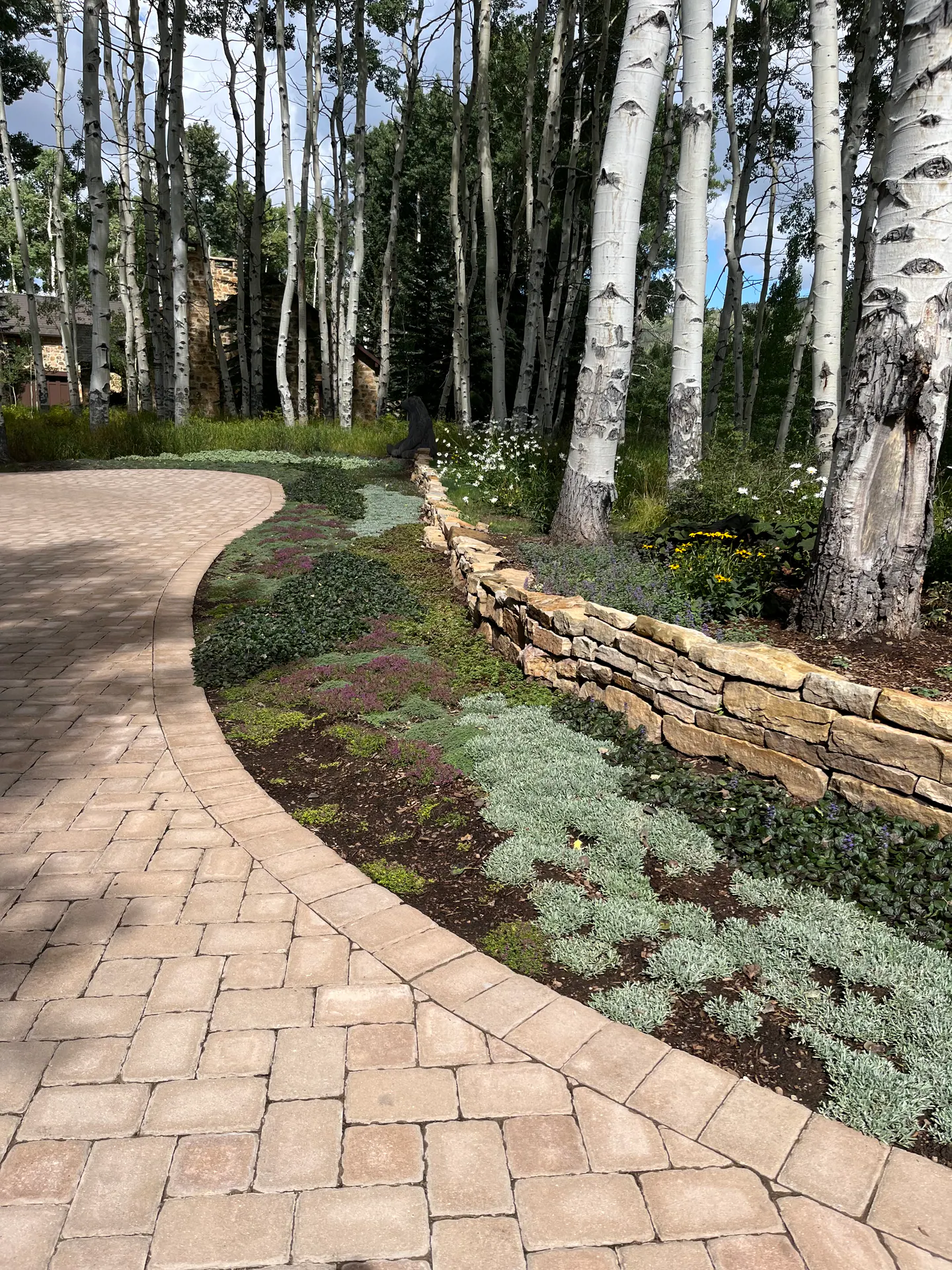 After — image 1 of 11