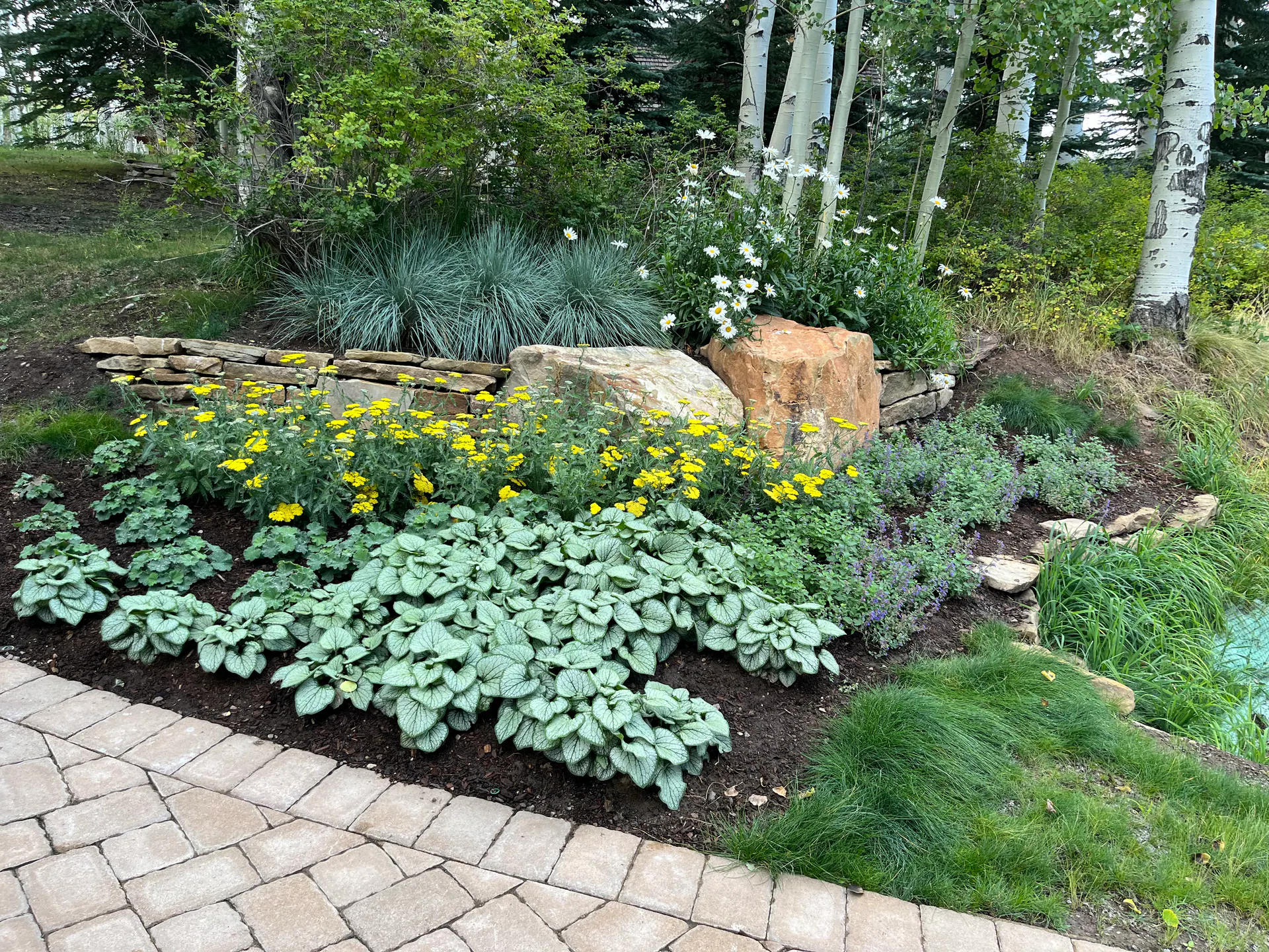 After — image 2 of 11