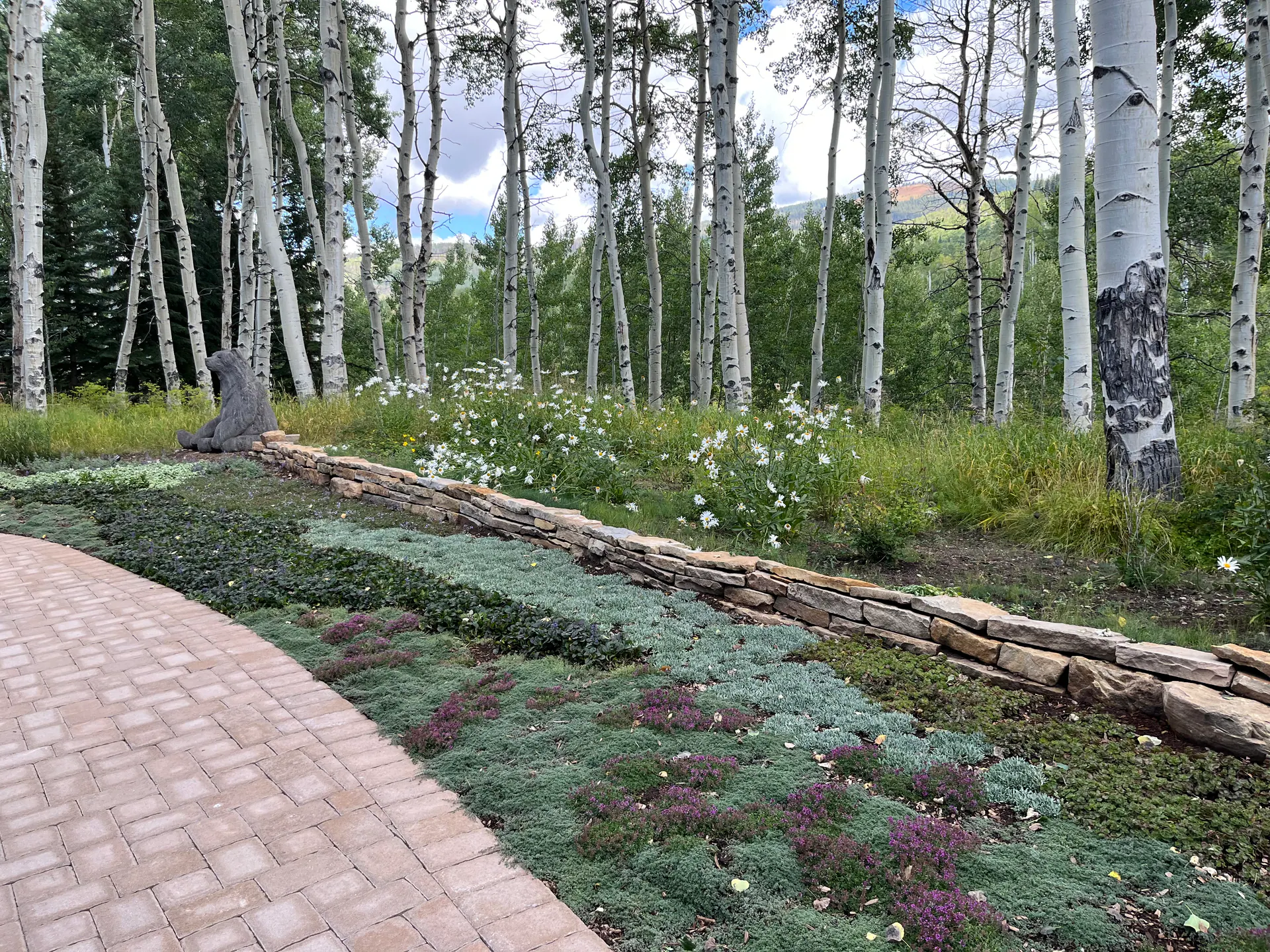 After — image 3 of 11