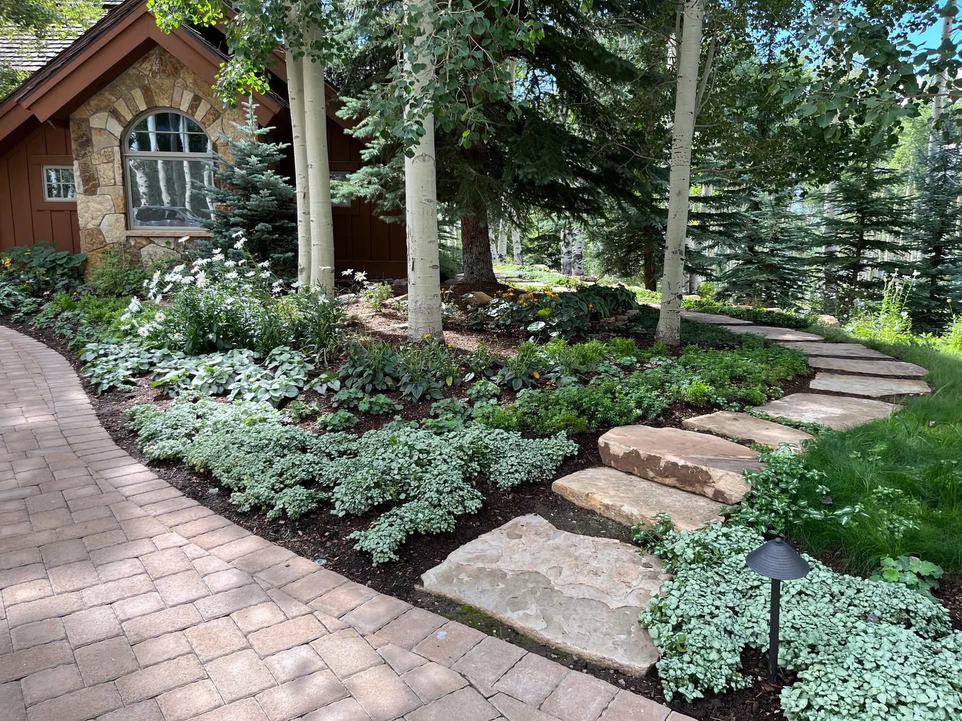 After — image 4 of 11