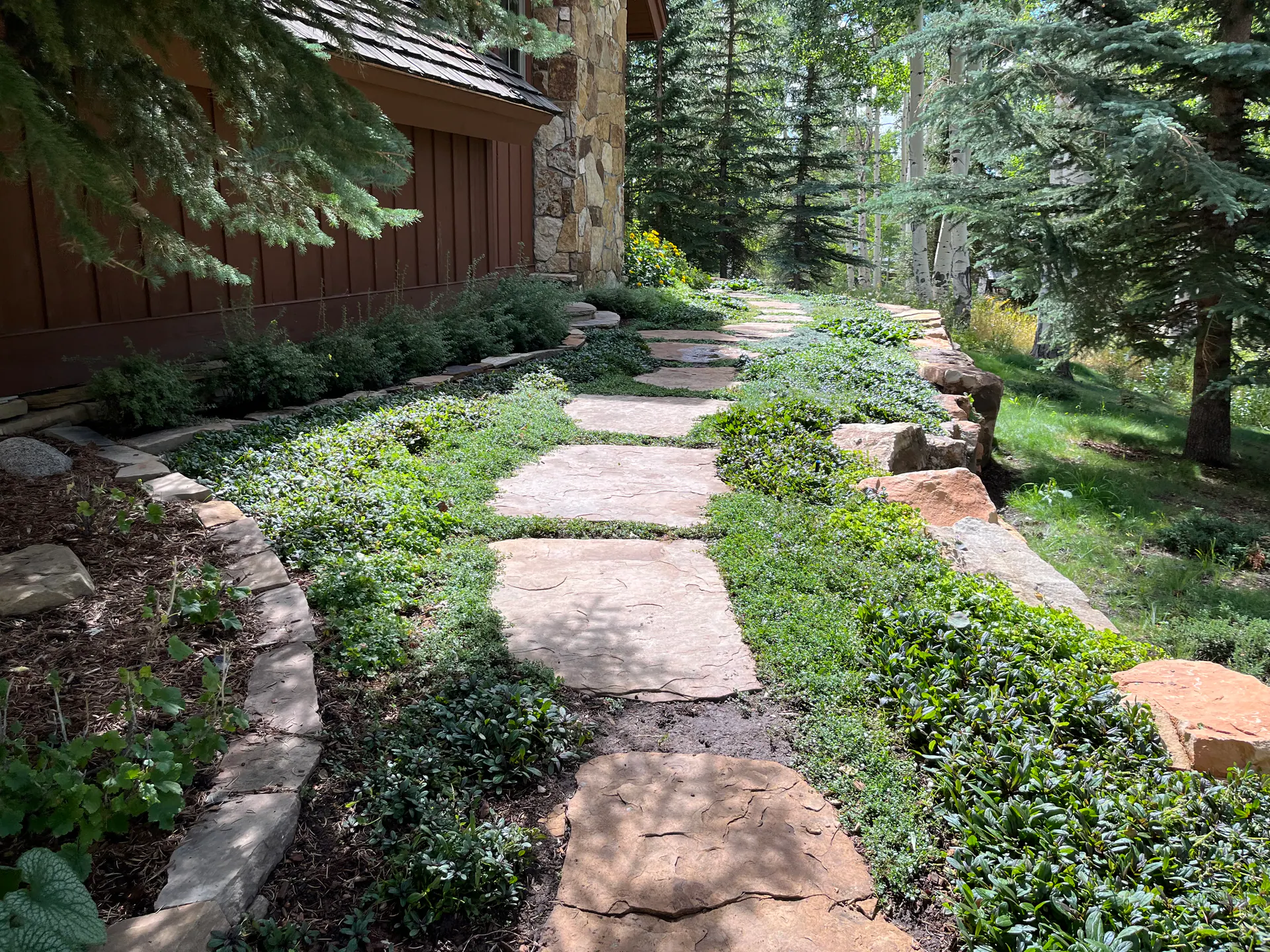 After — image 5 of 11
