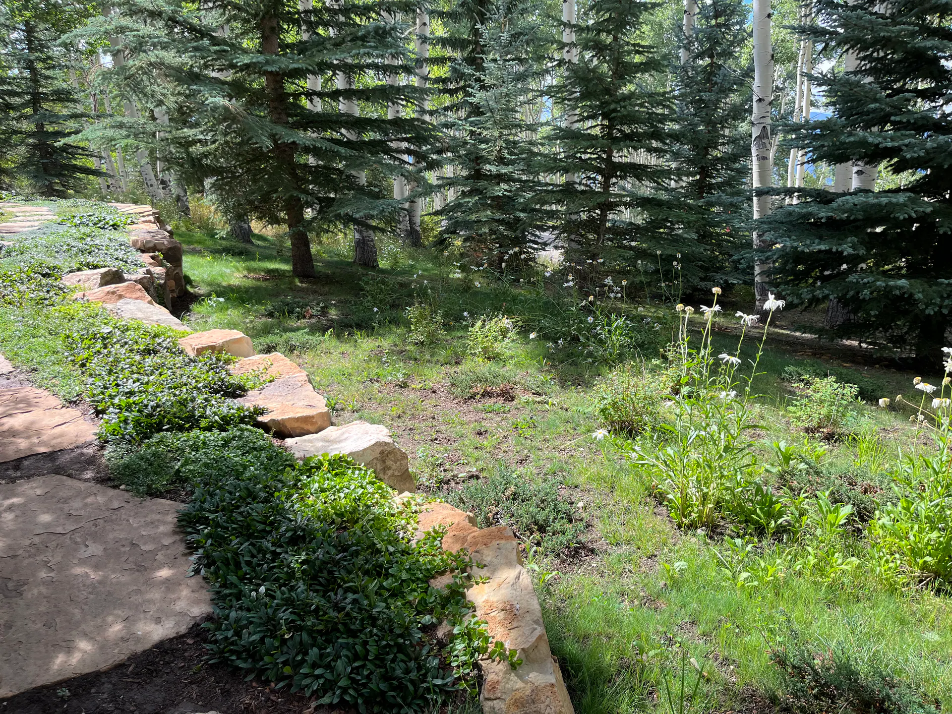 After — image 6 of 11
