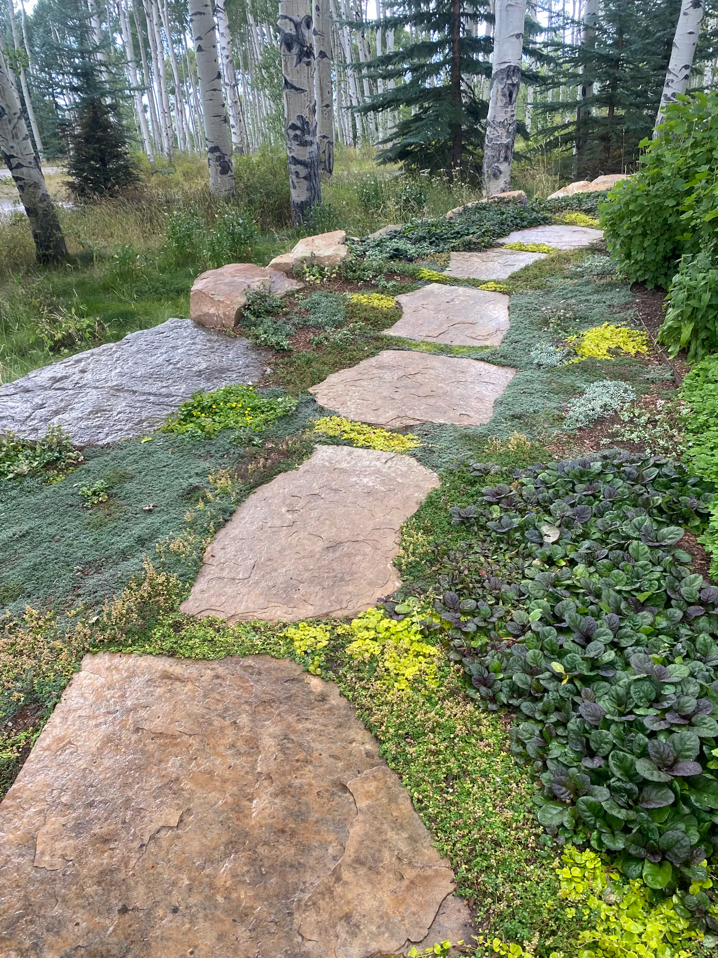 After — image 7 of 11