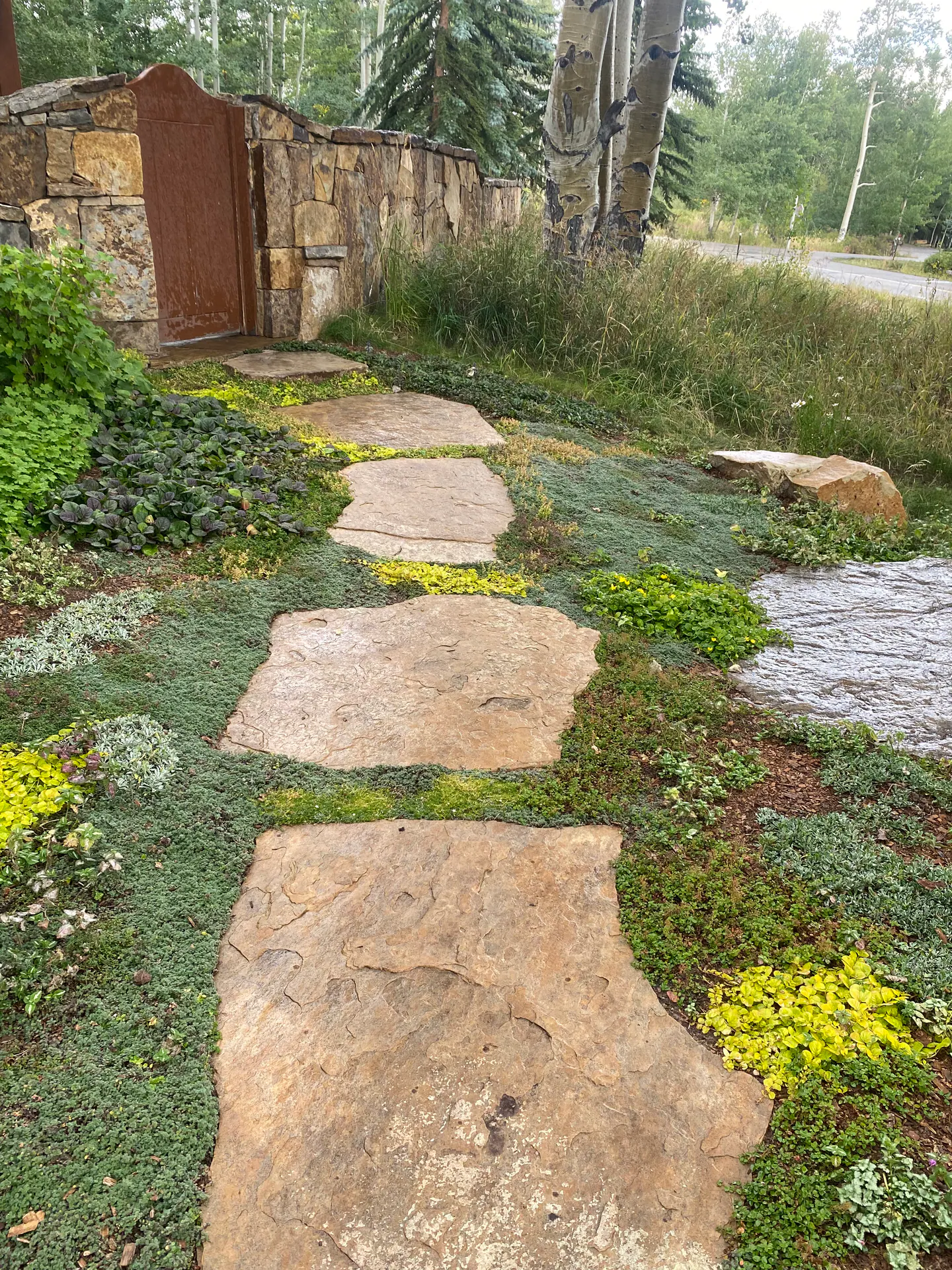 After — image 8 of 11