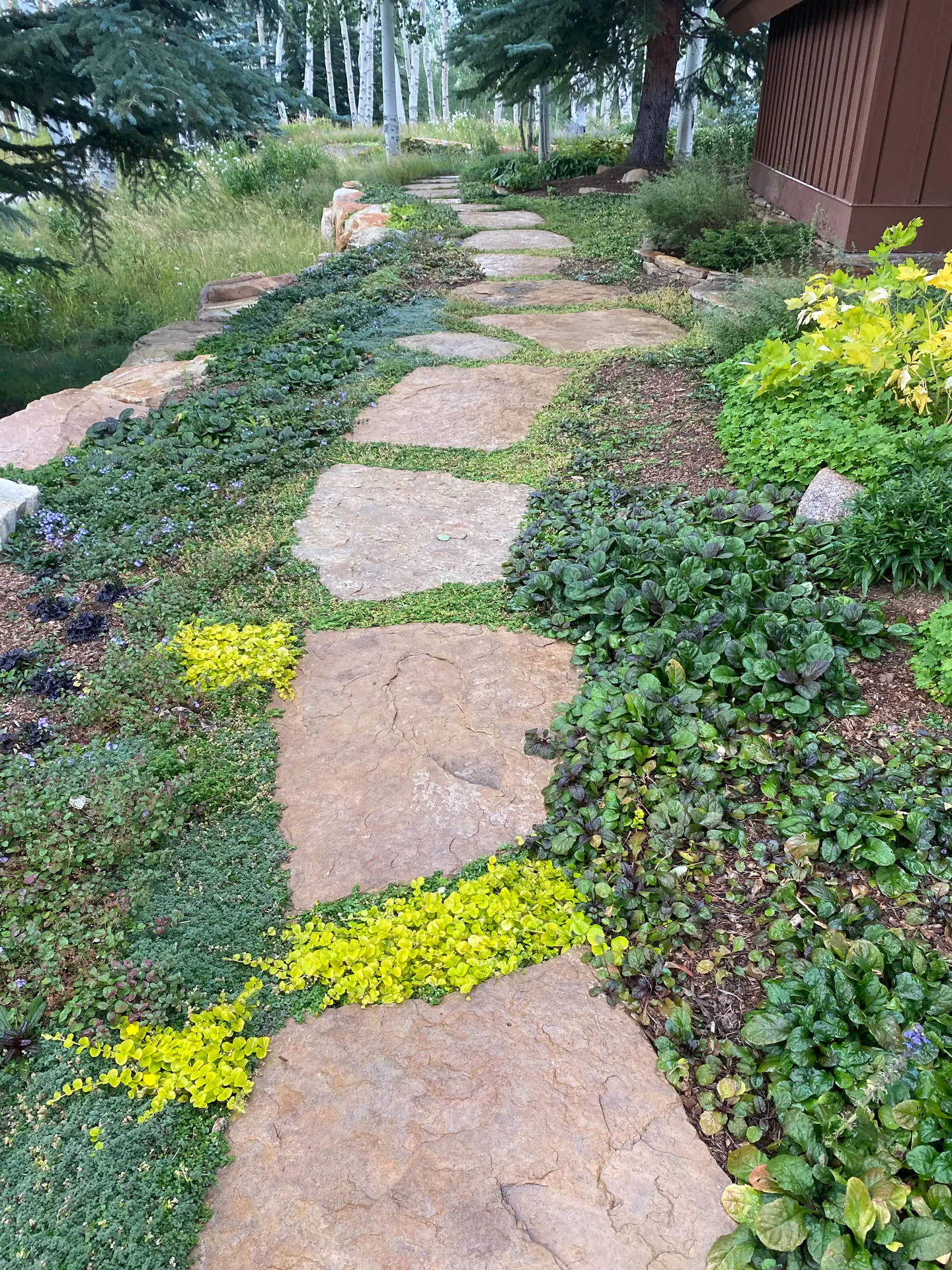 After — image 9 of 11