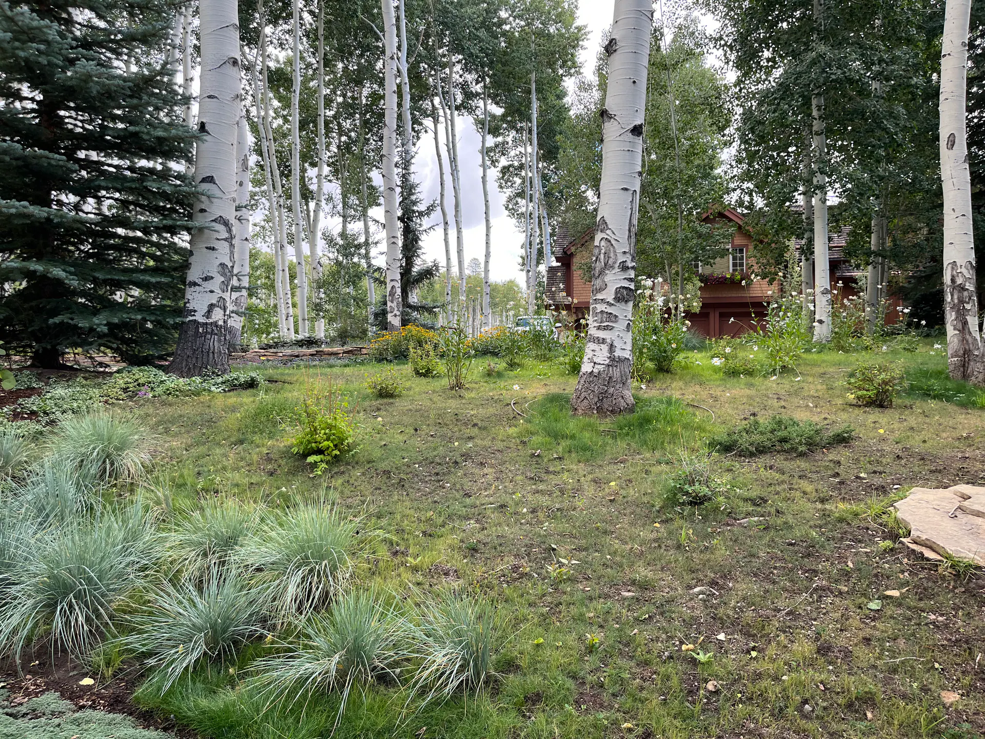 After — image 11 of 11