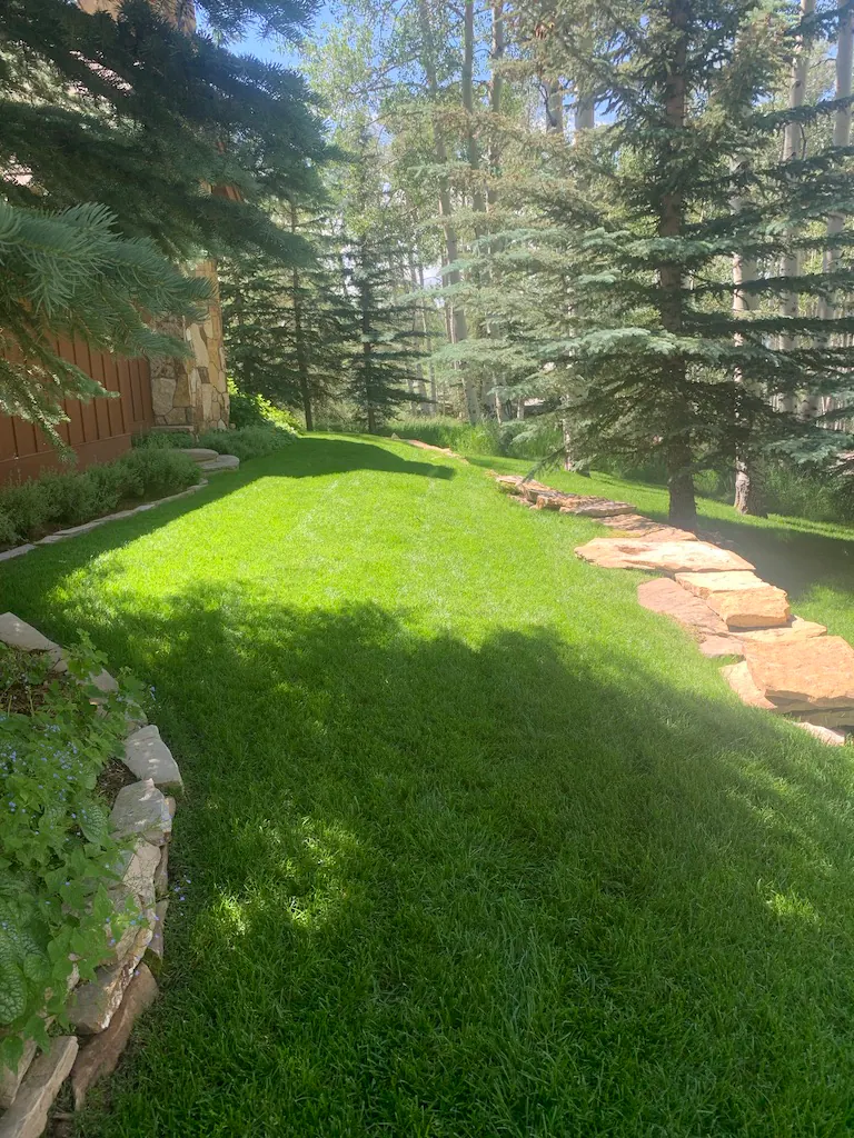 Before — image 5 of 5