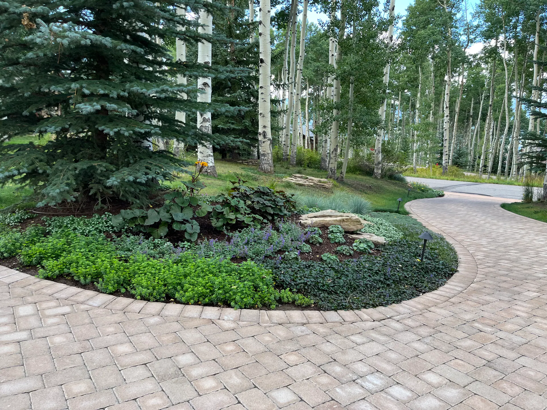 Aspen Meadow — Ceres Landcare portfolio project