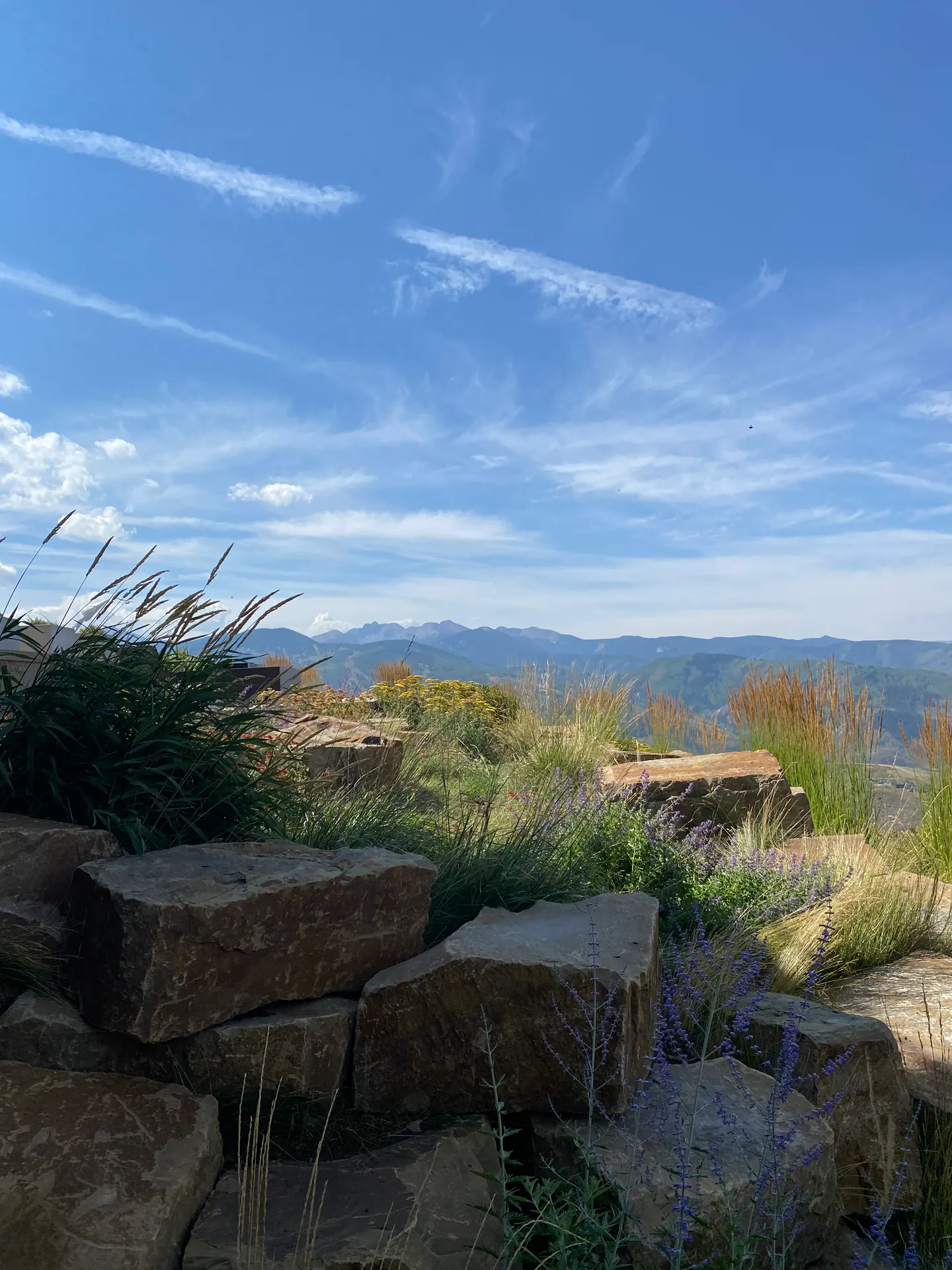 At The Crest — Portfolio, image 13 of 19