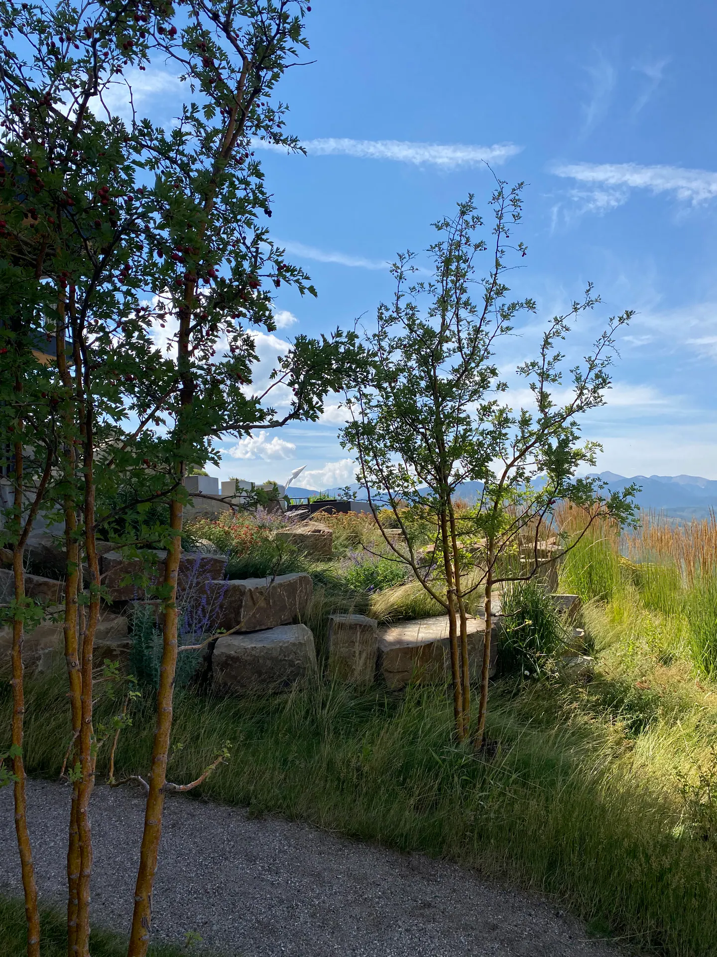 At The Crest — Portfolio, image 14 of 19