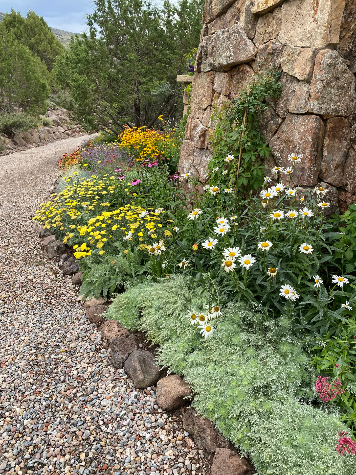 Edge of Abundance — Portfolio, image 5 of 28