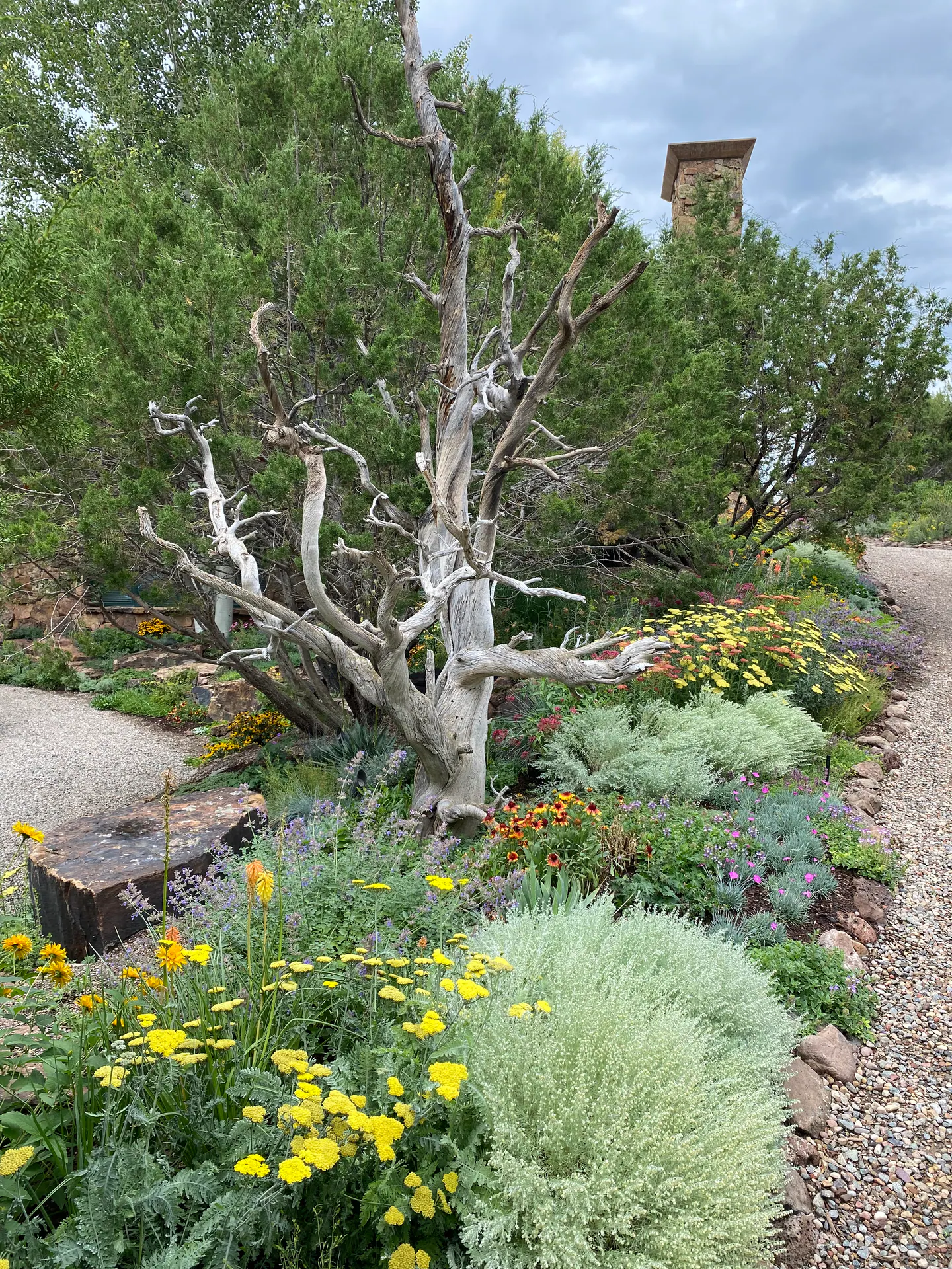 Edge of Abundance — Portfolio, image 6 of 28